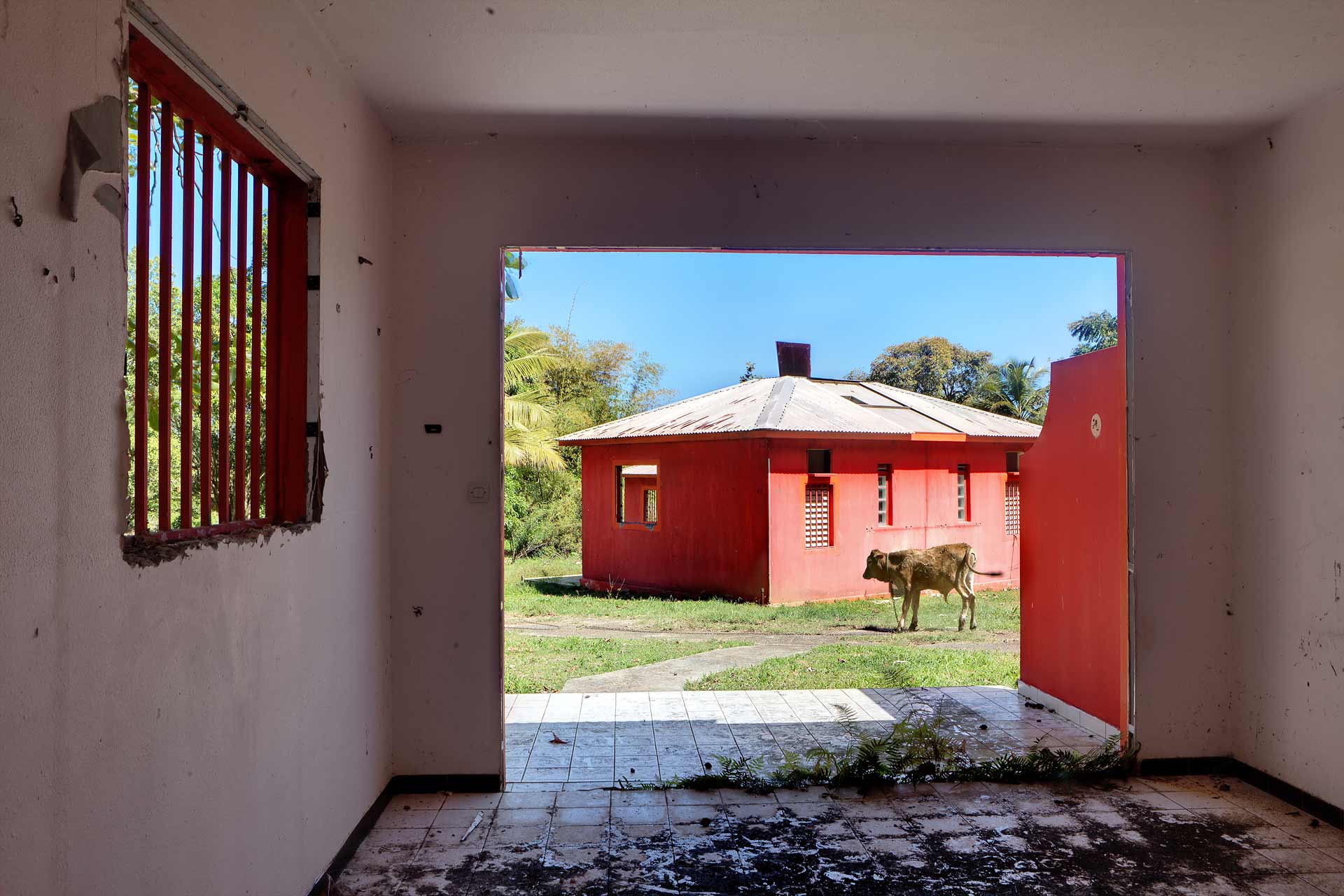 julien-cresp_caribbean-blues_wastelands