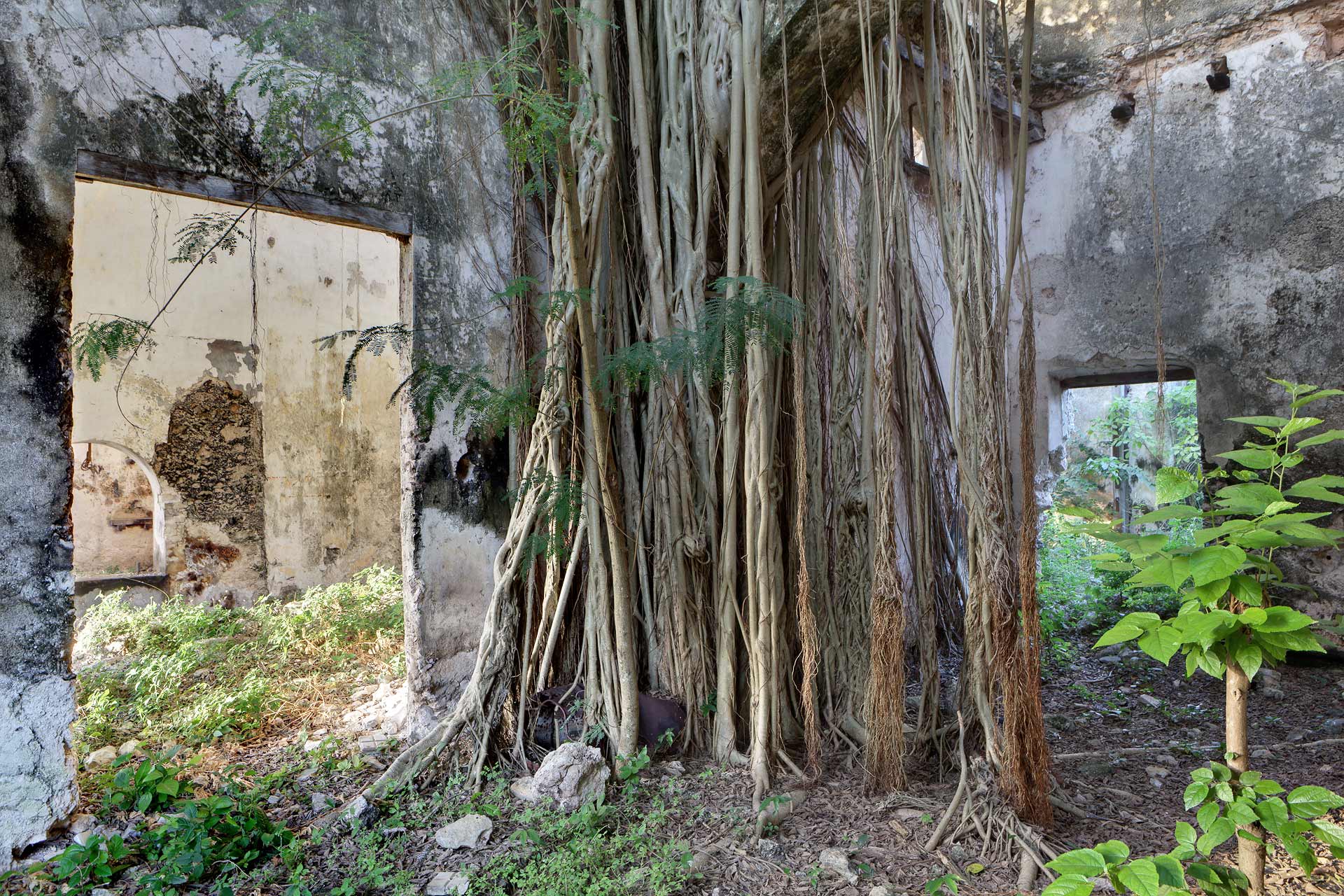 juliencresp_wastelands_haciendas