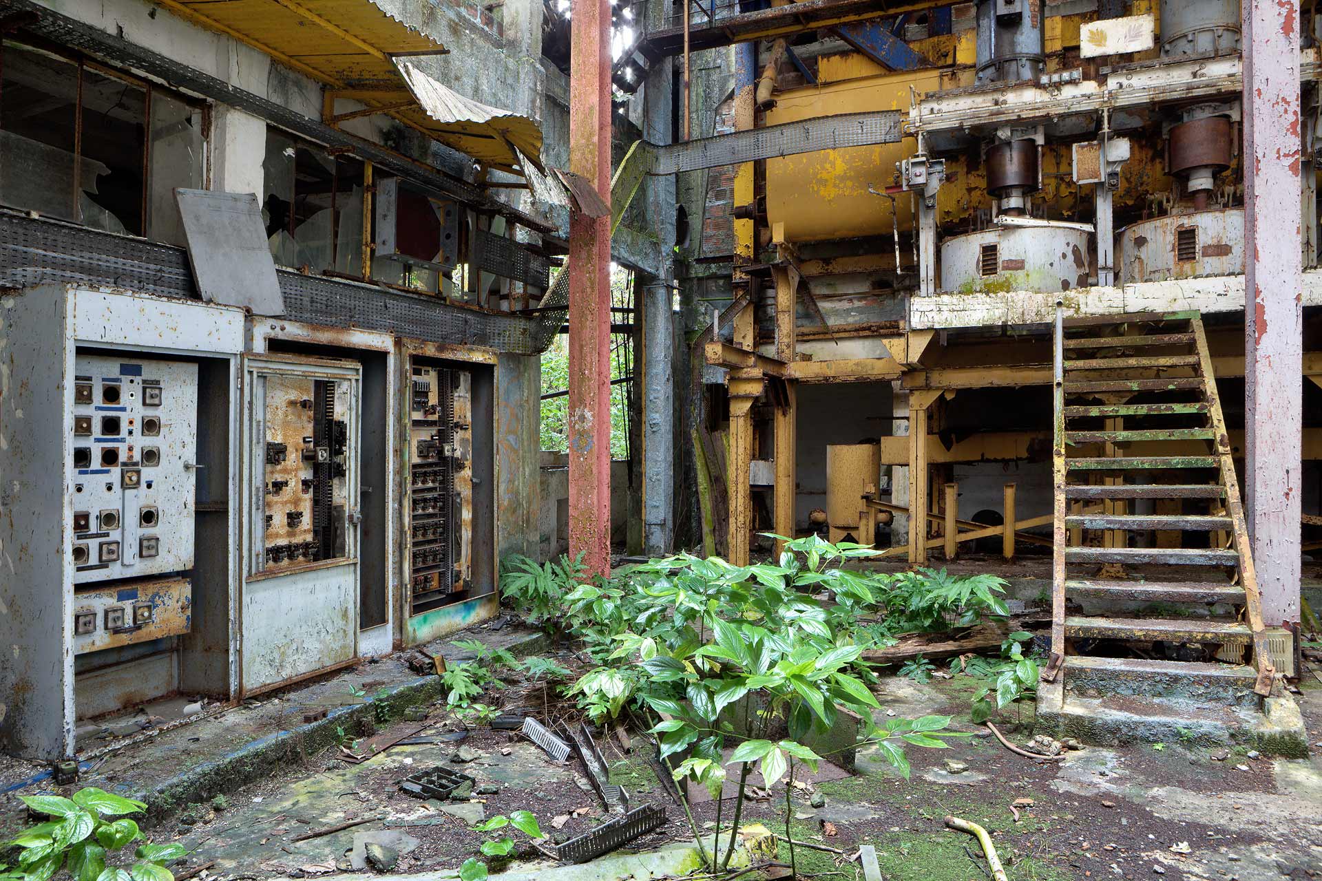 juliencresp_wastelands_rumfragrances