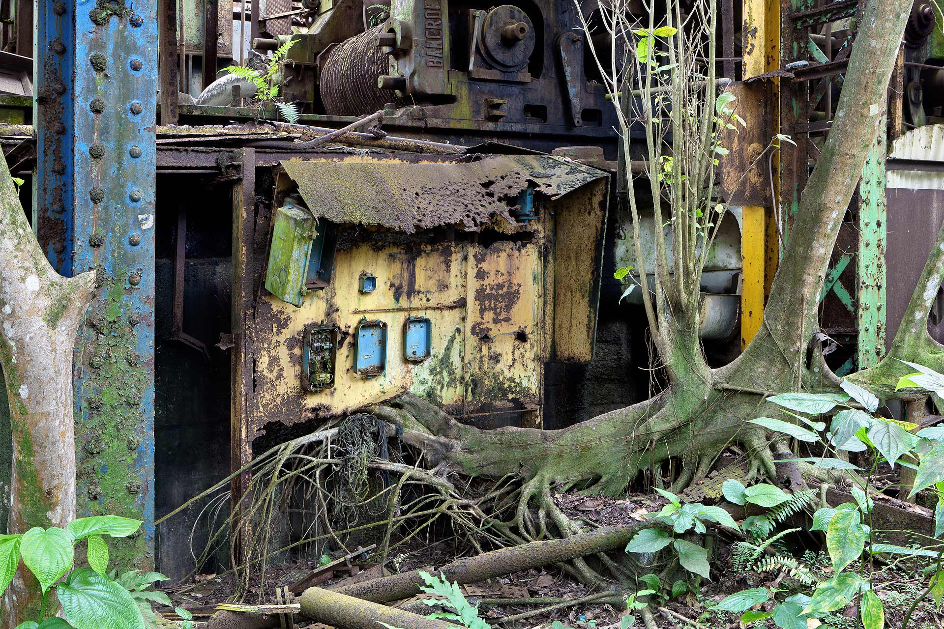 juliencresp_wastelands_rumfragrances