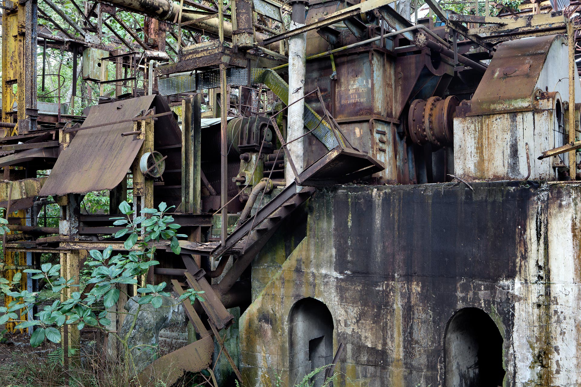 juliencresp_wastelands_rumfragrances