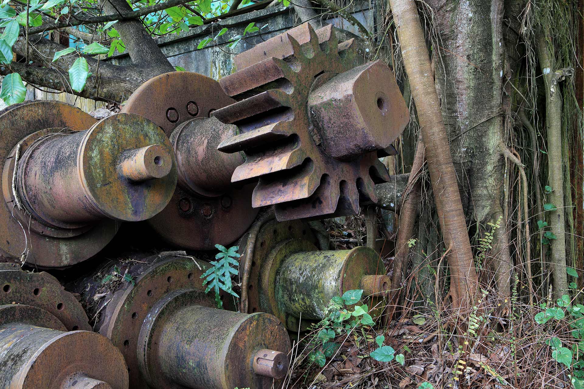 juliencresp_wastelands_rumfragrances