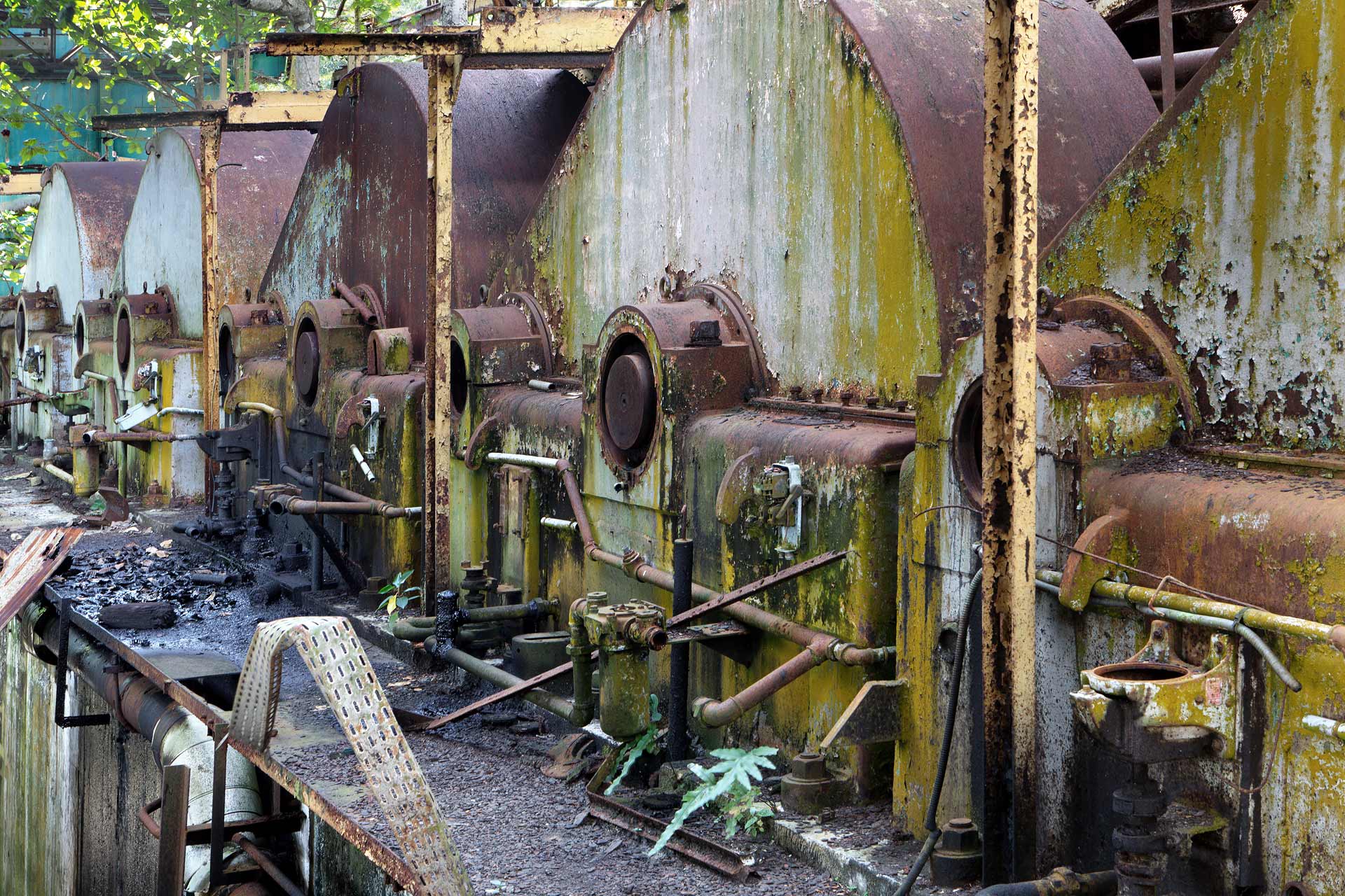 juliencresp_wastelands_rumfragrances