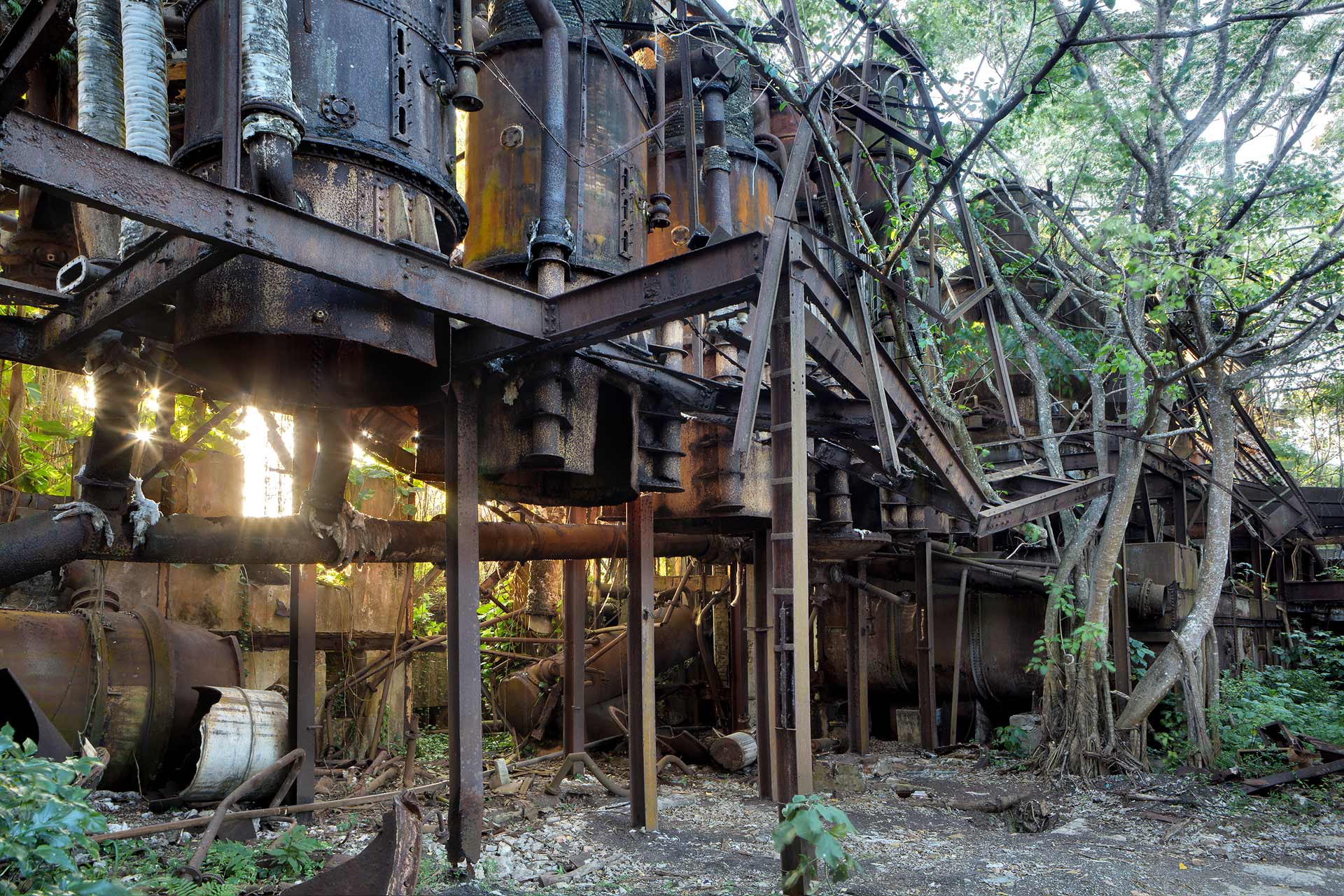 juliencresp_wastelands_rumfragrances