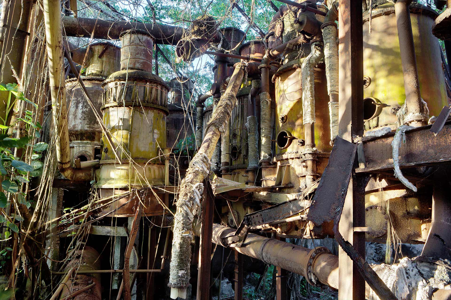 juliencresp_wastelands_rumfragrances