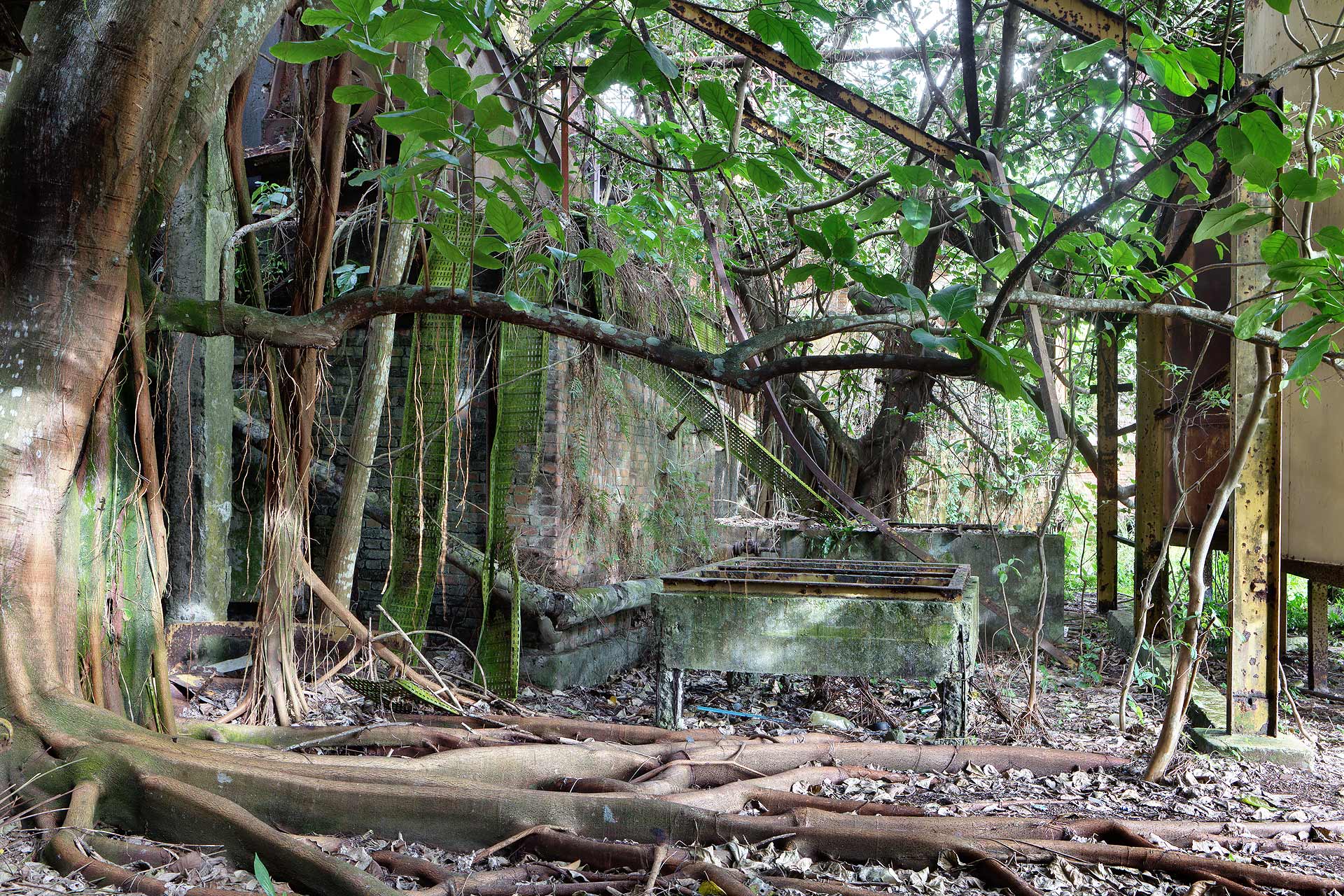 juliencresp_wastelands_rumfragrances