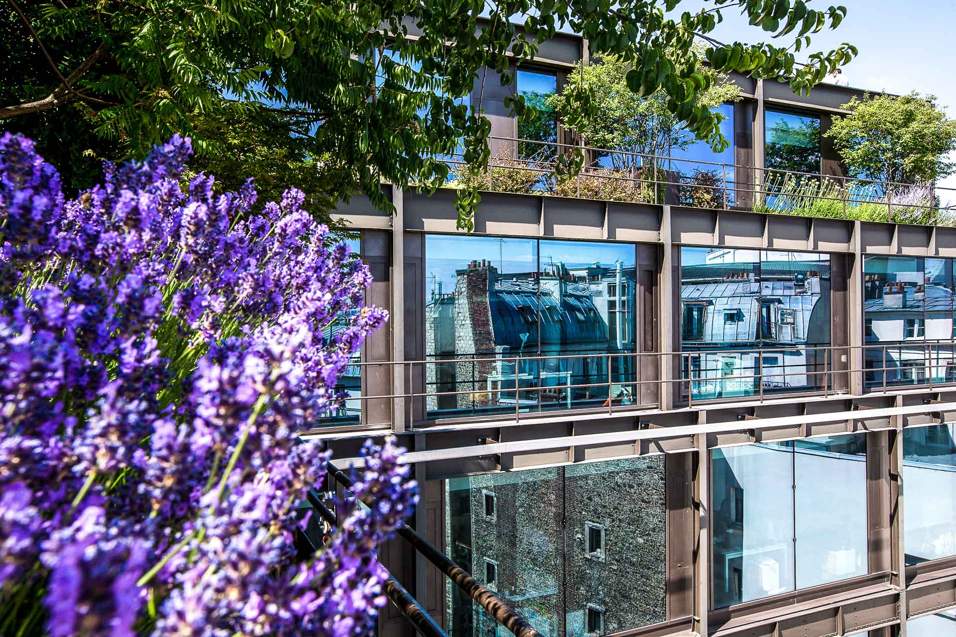 MUGO_julien_cresp_gardens_jardins_paysagisme_hidden_gardens