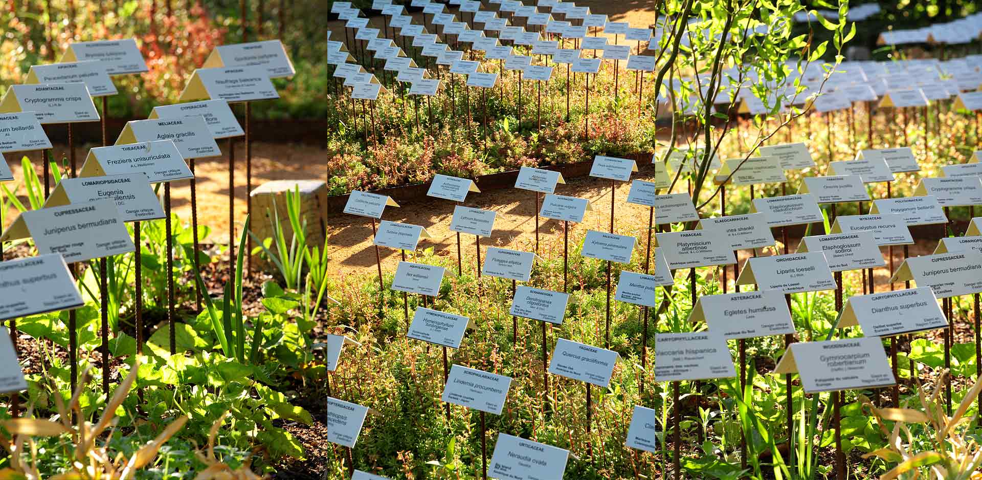 julien_cresp_gardens, jardins, chaumontsurloire, juliencresp