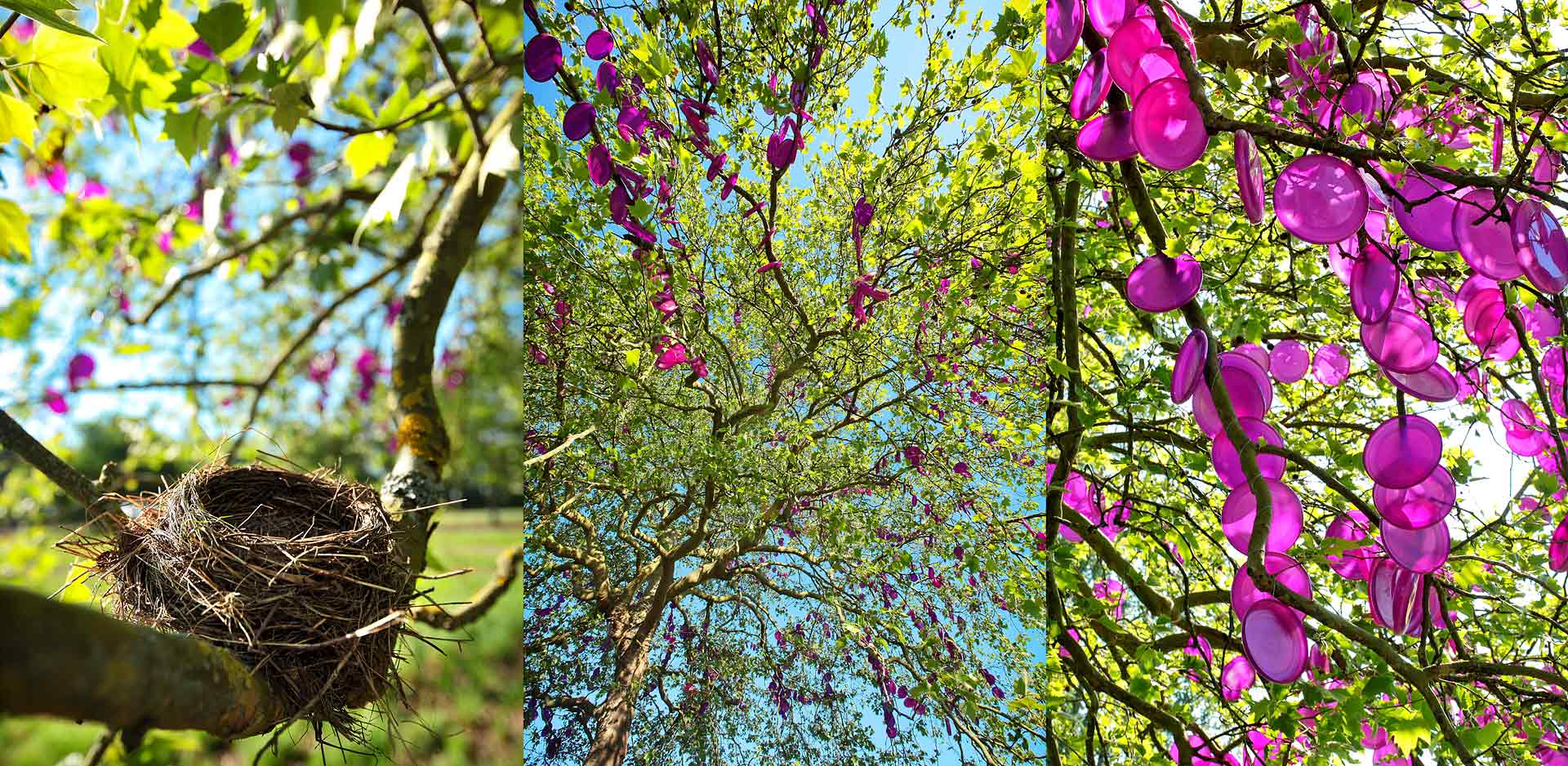 julien_cresp_gardens, jardins, chaumontsurloire, juliencresp