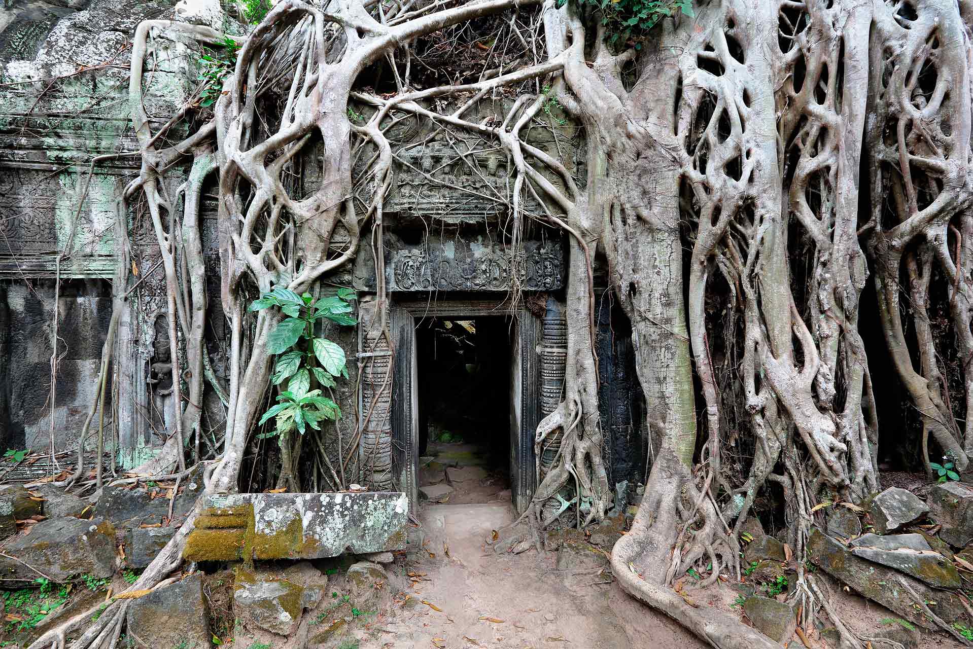 julien_cresp_juliencresp_wastelands_cambodia_cambodge