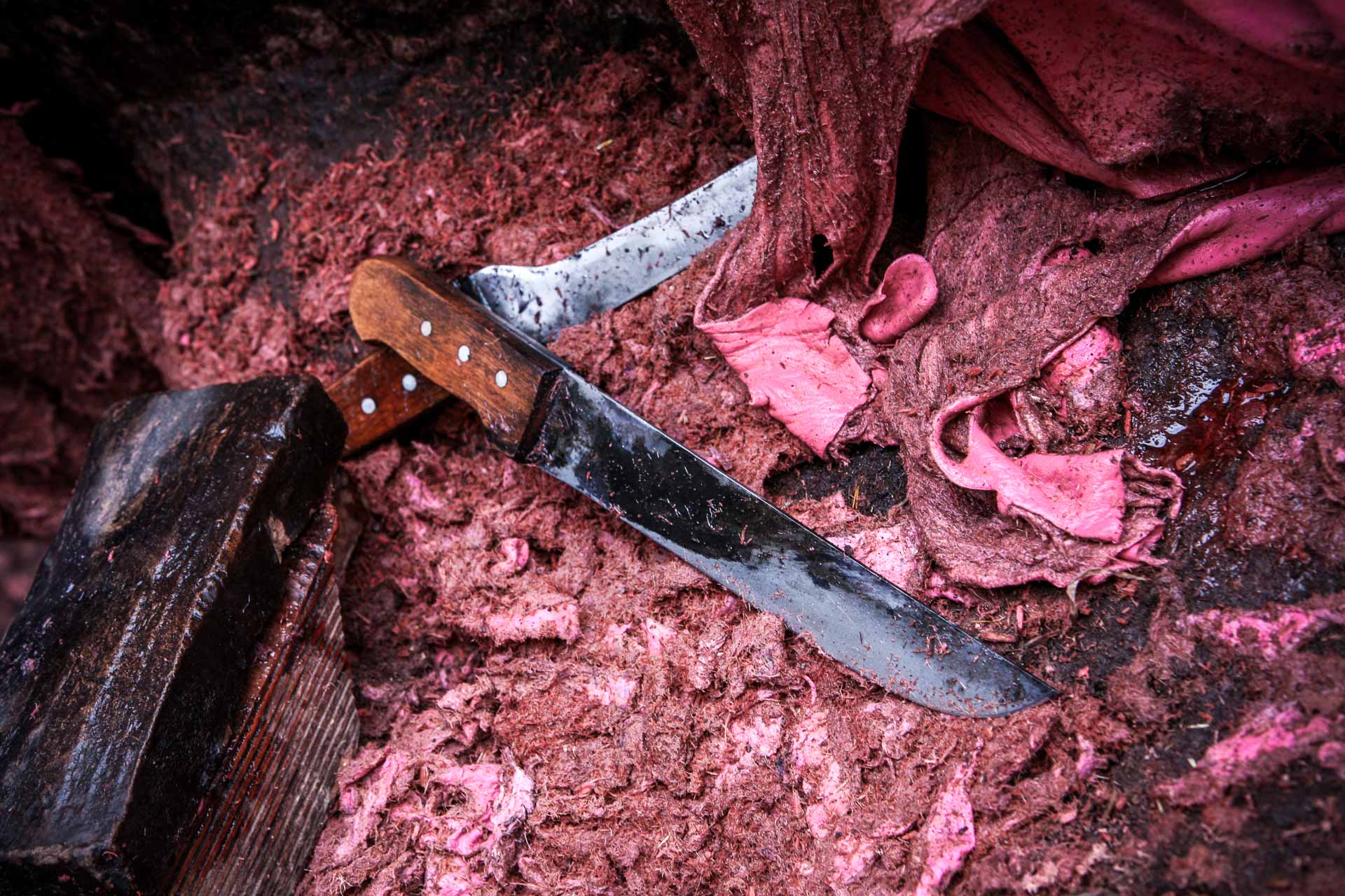 reportages_juliencresp_maroc_fez_teinturiers_julien_cresp