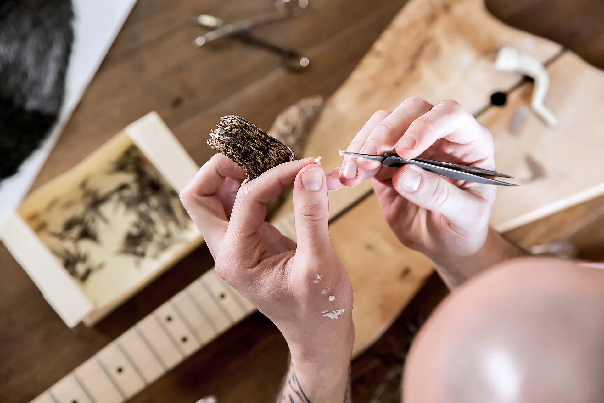 juliencresp_maxime leroy, plumassier