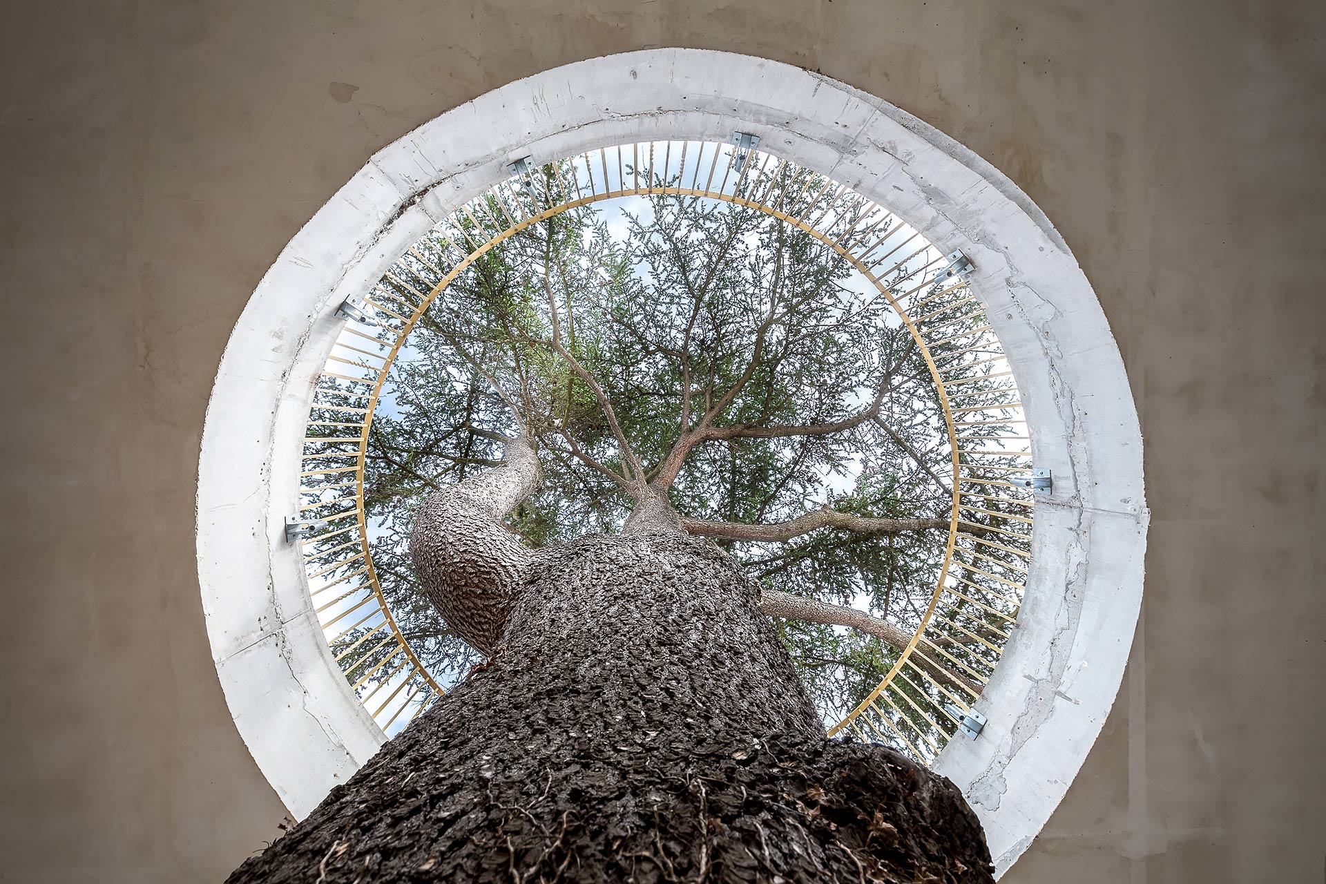 le nouvel hippodrome de longchamp, par julien cresp