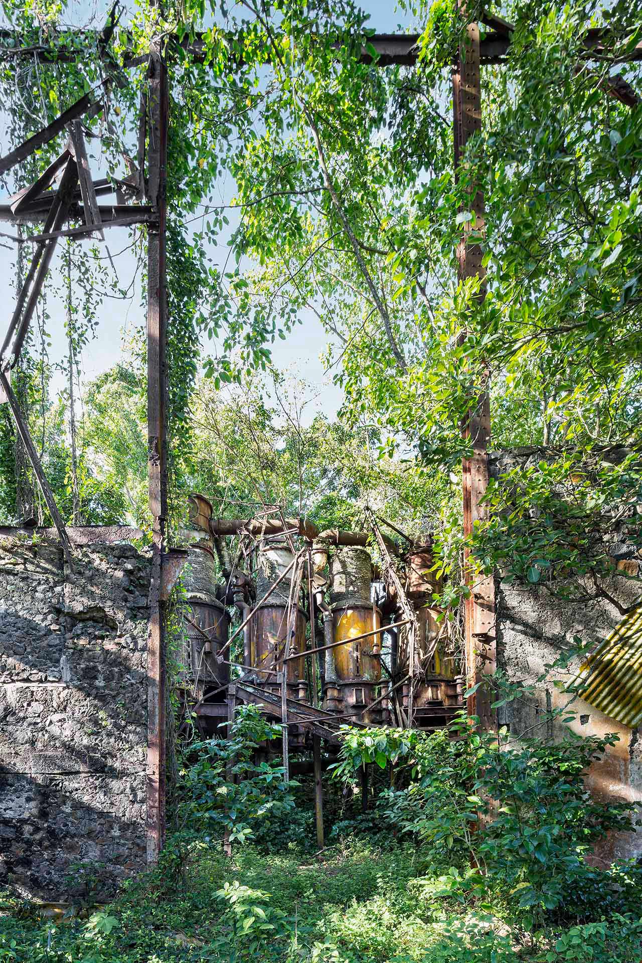 julien cresp expose fusions