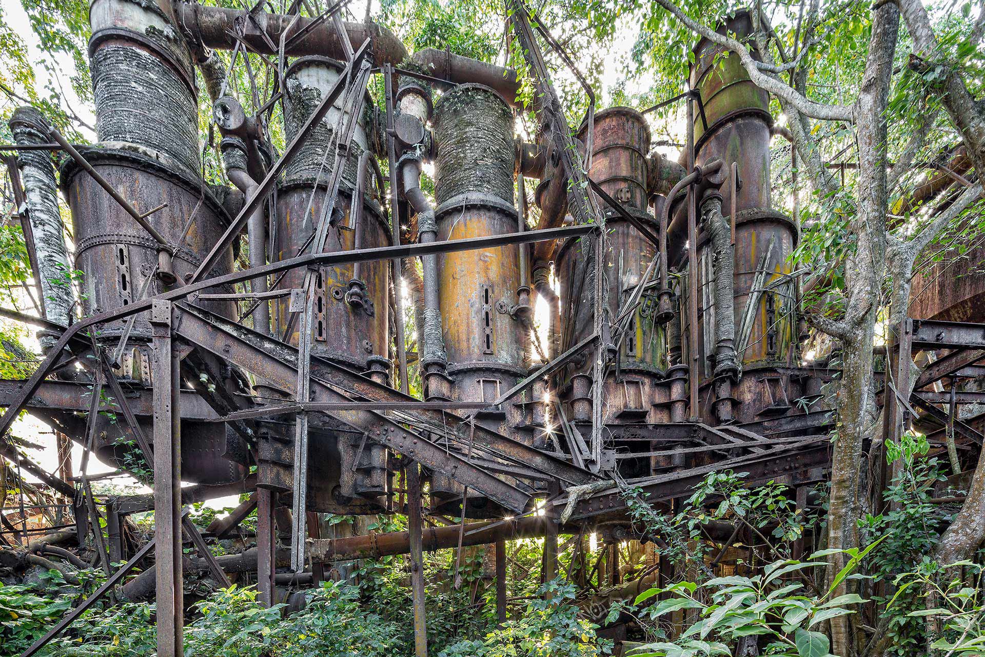 exposition du photographe Julien cresp à la galerie Ad luminem