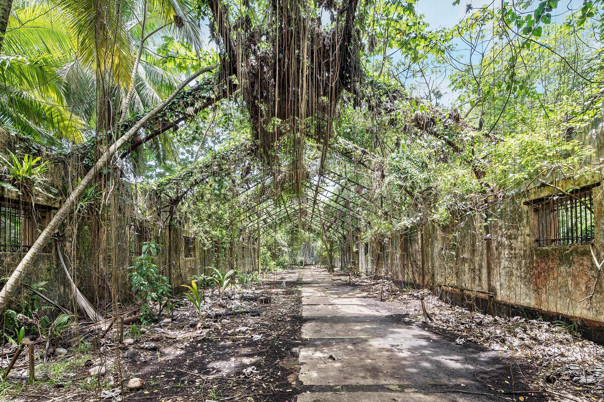 julien cresp expose fusions