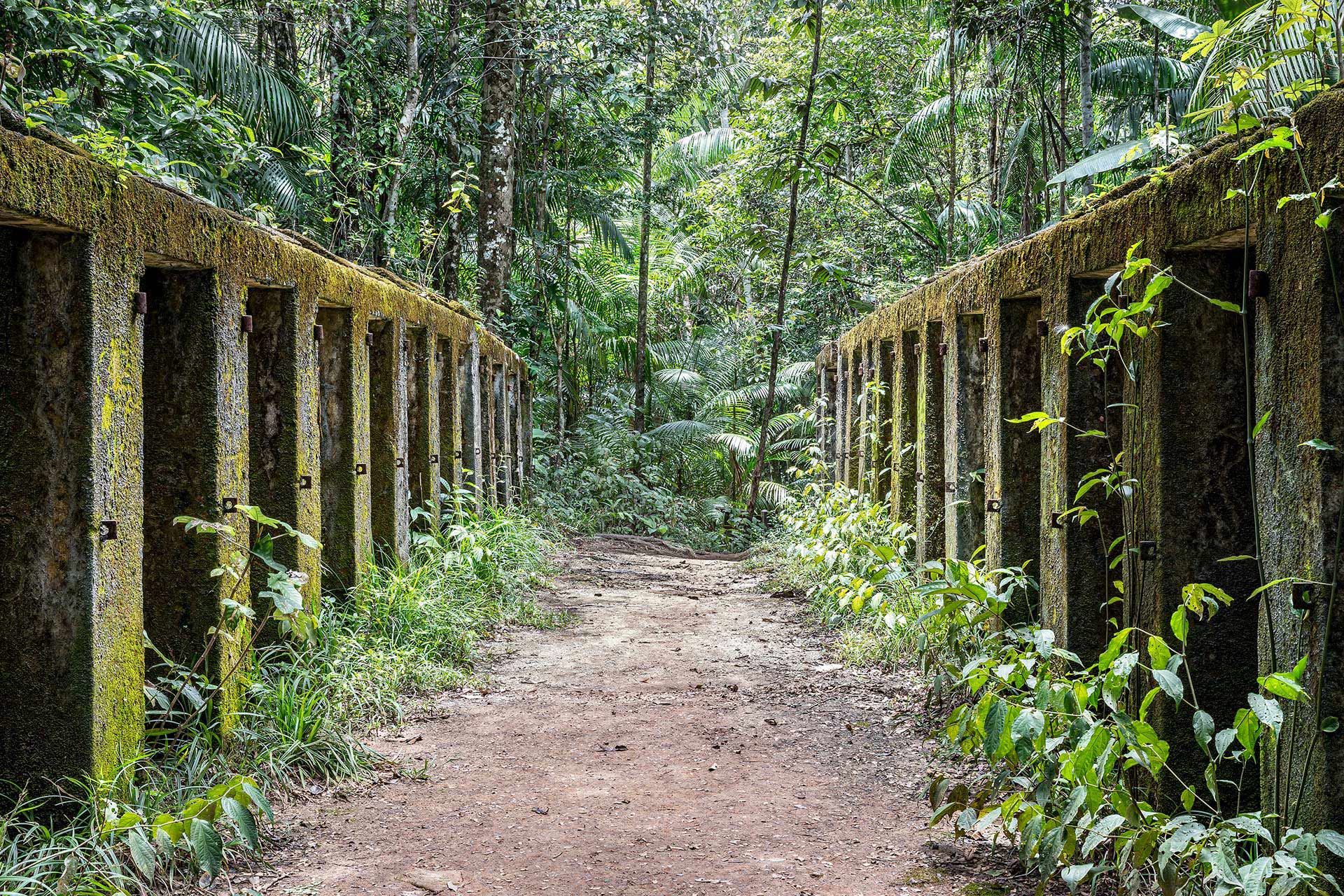 julien cresp, galerie ad luminem, photographies