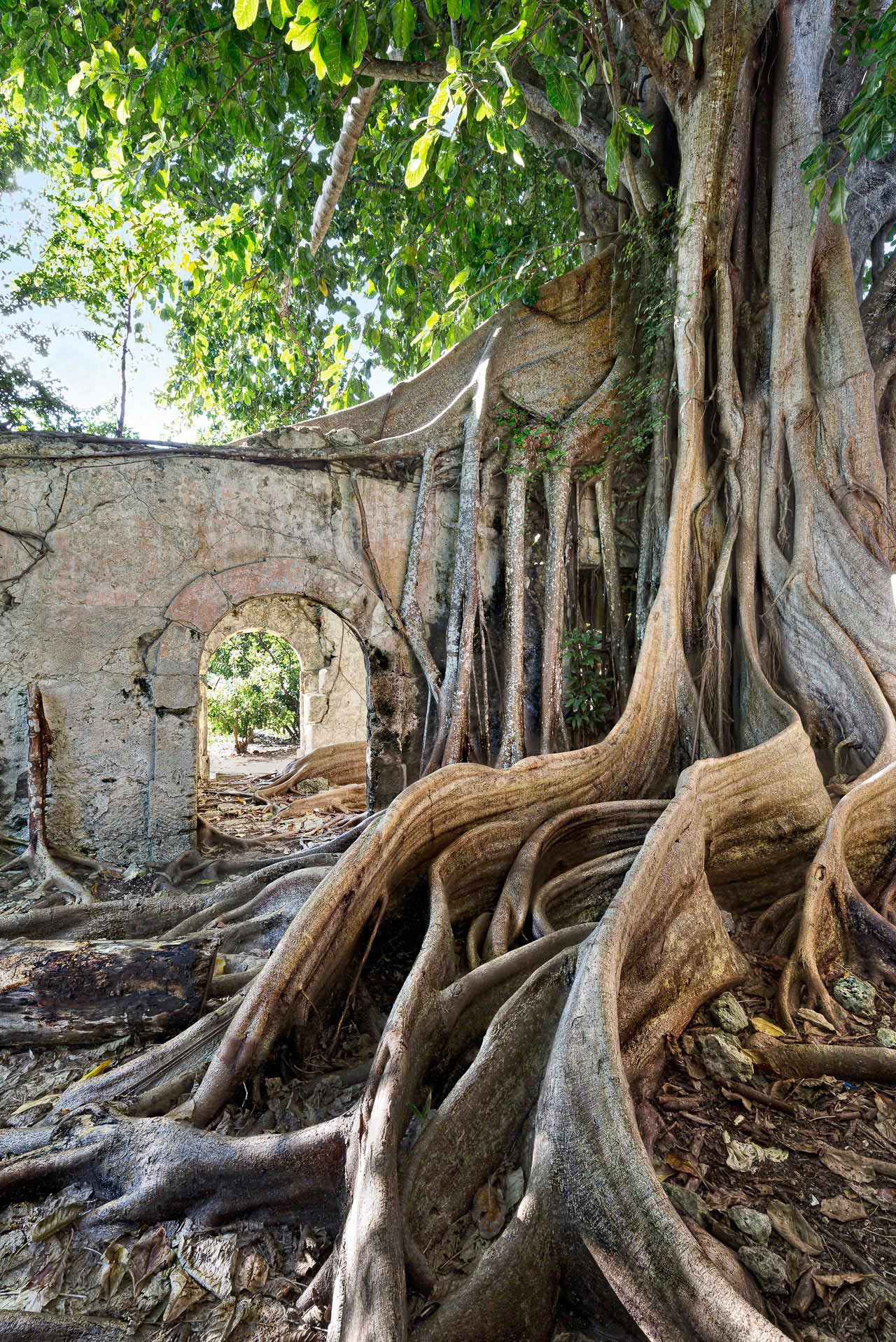 exposition du photographe Julien cresp à la galerie Ad luminem