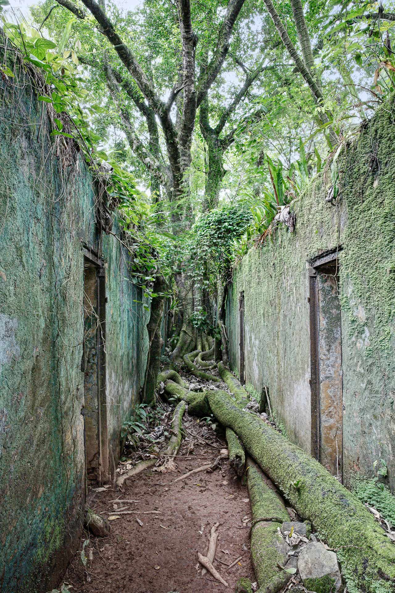 julien cresp expose fusions