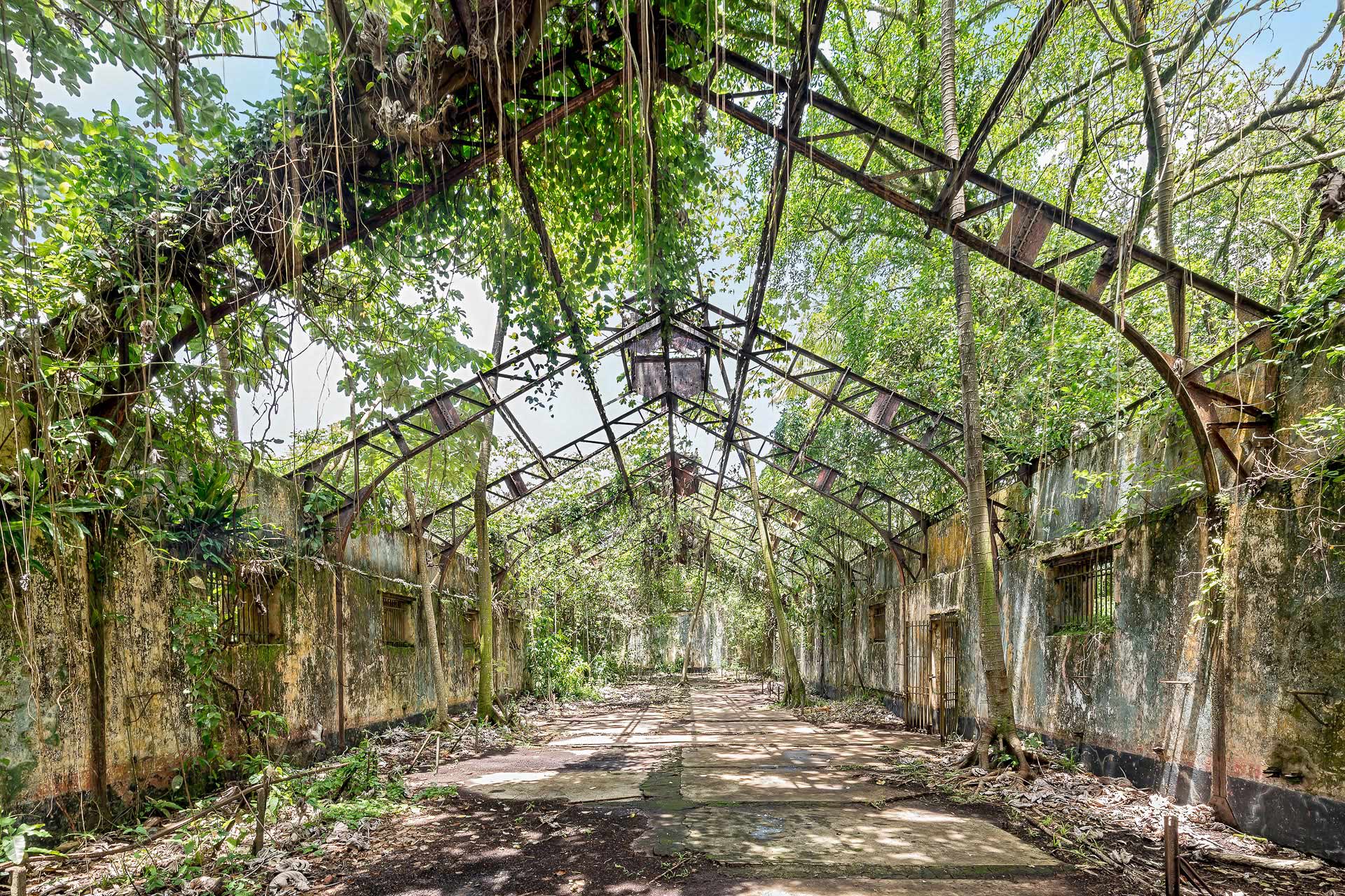 julien cresp expose fusions