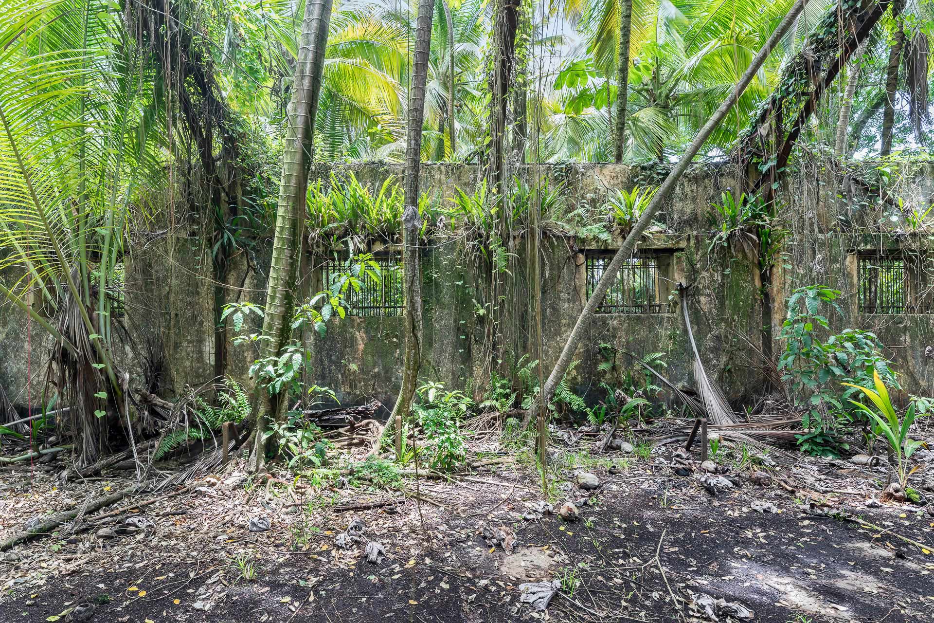 exposition du photographe Julien cresp à la galerie Ad luminem