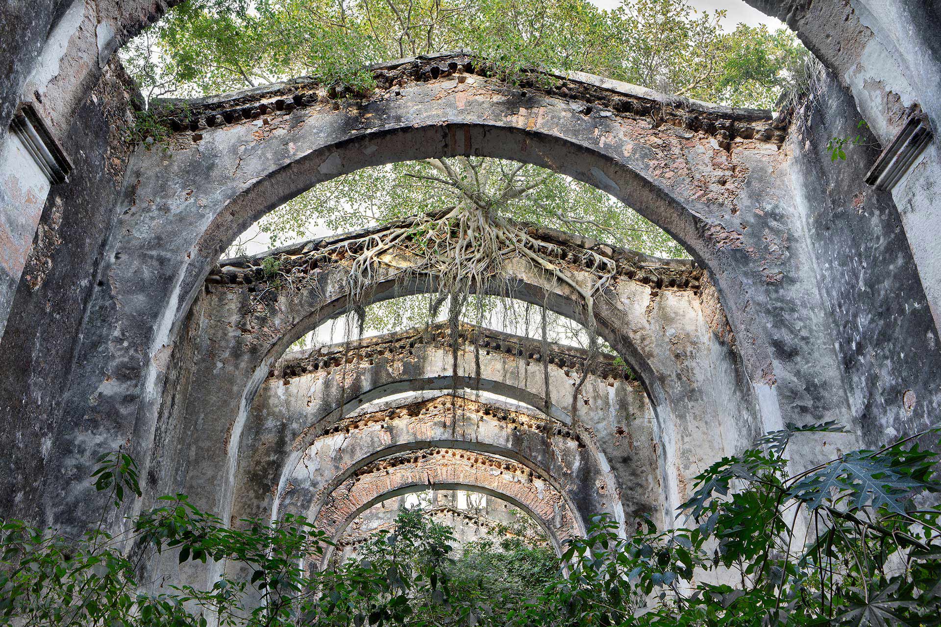 julien cresp, galerie ad luminem, photographies