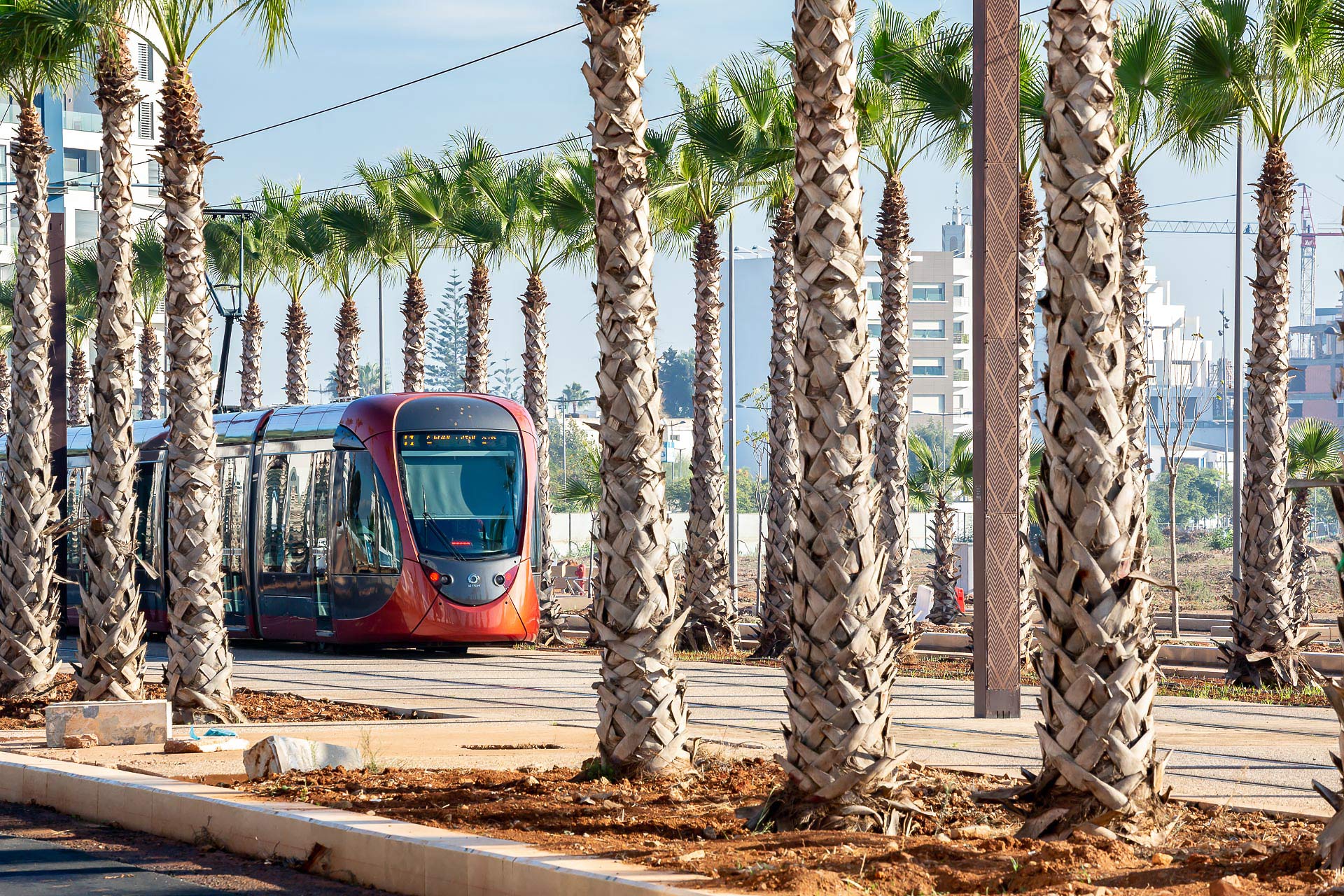 julien cresp photographie la tour CFC de casablanca