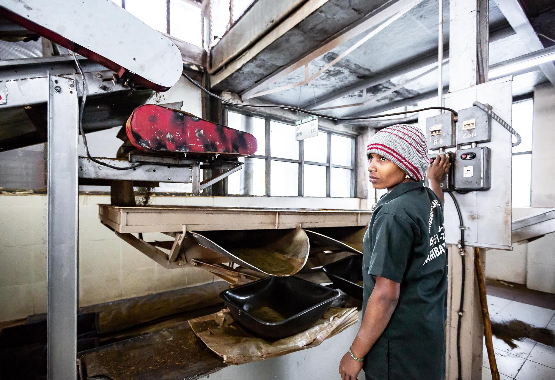 julien cresp photographie la fabrique de thé de dambatenne