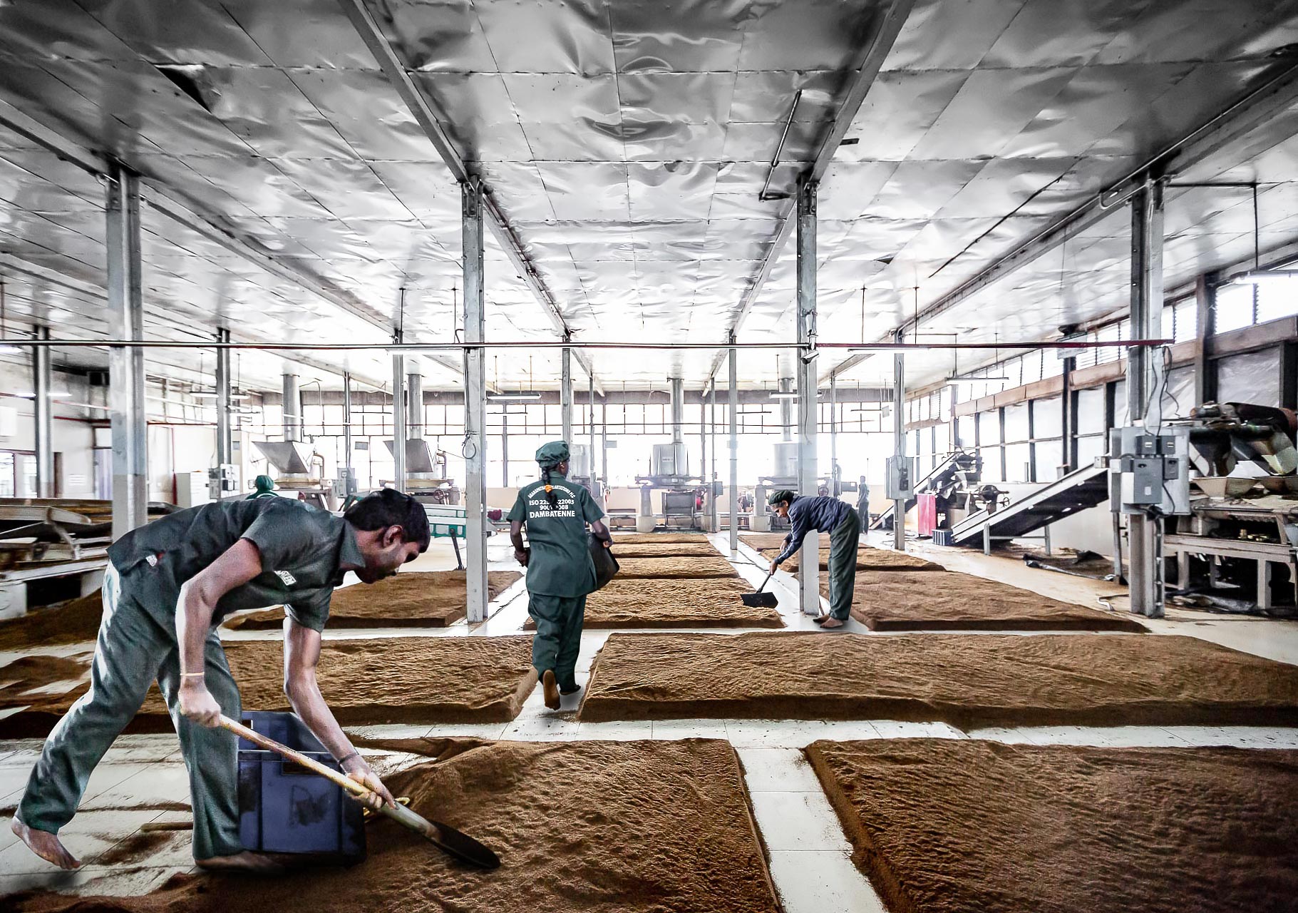 la fabrique de thé de dambatenne photographiée par julien cresp