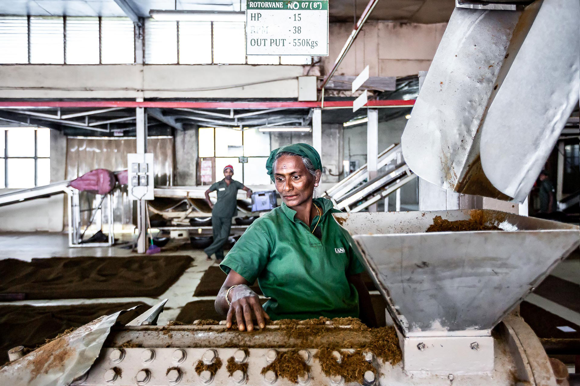 julien cresp photographie la fabrique de thé de dambatenne