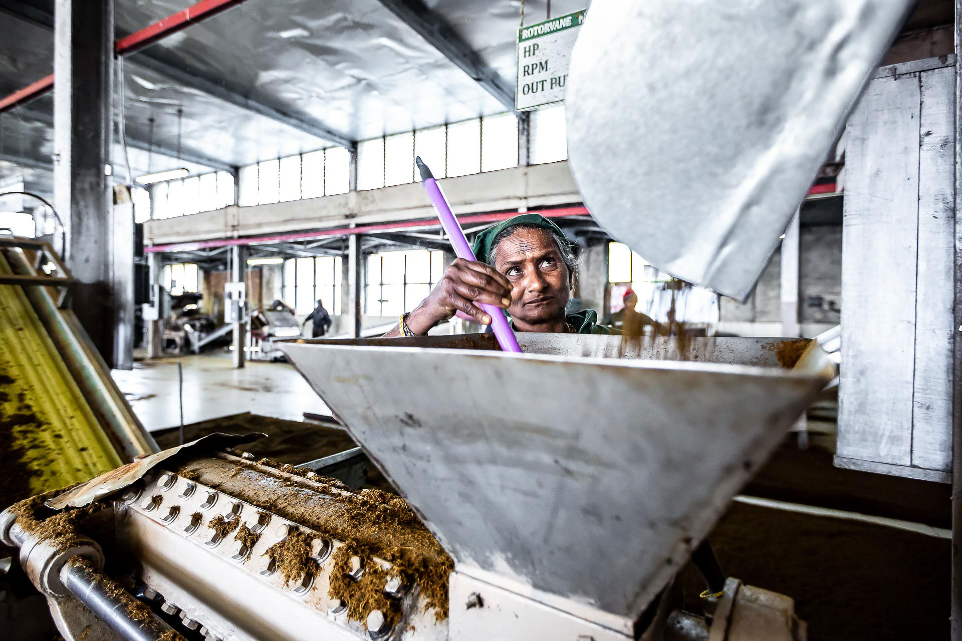 la fabrique de thé de dambatenne photographiée par julien cresp