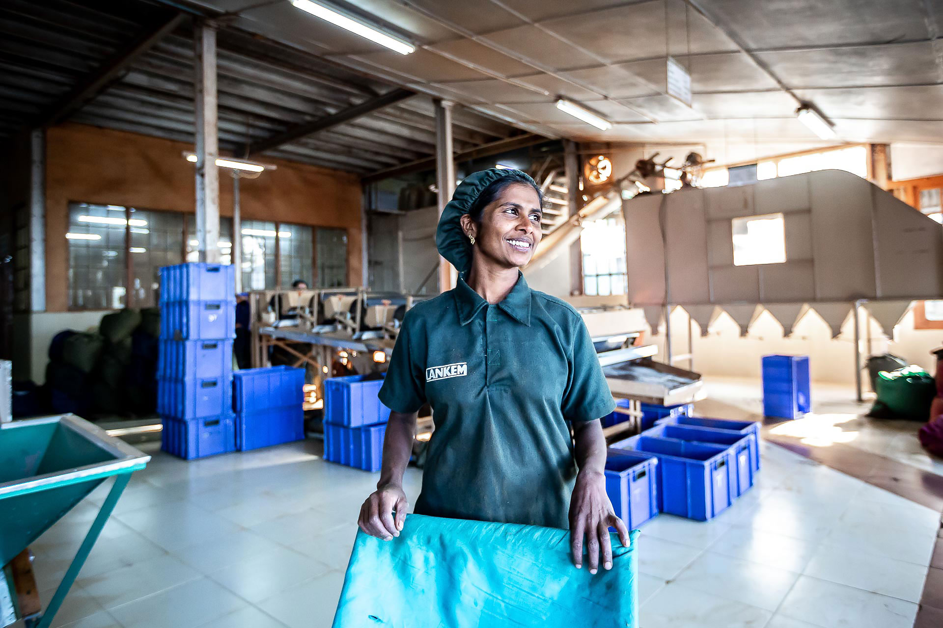 julien cresp photographie la fabrique de thé de dambatenne