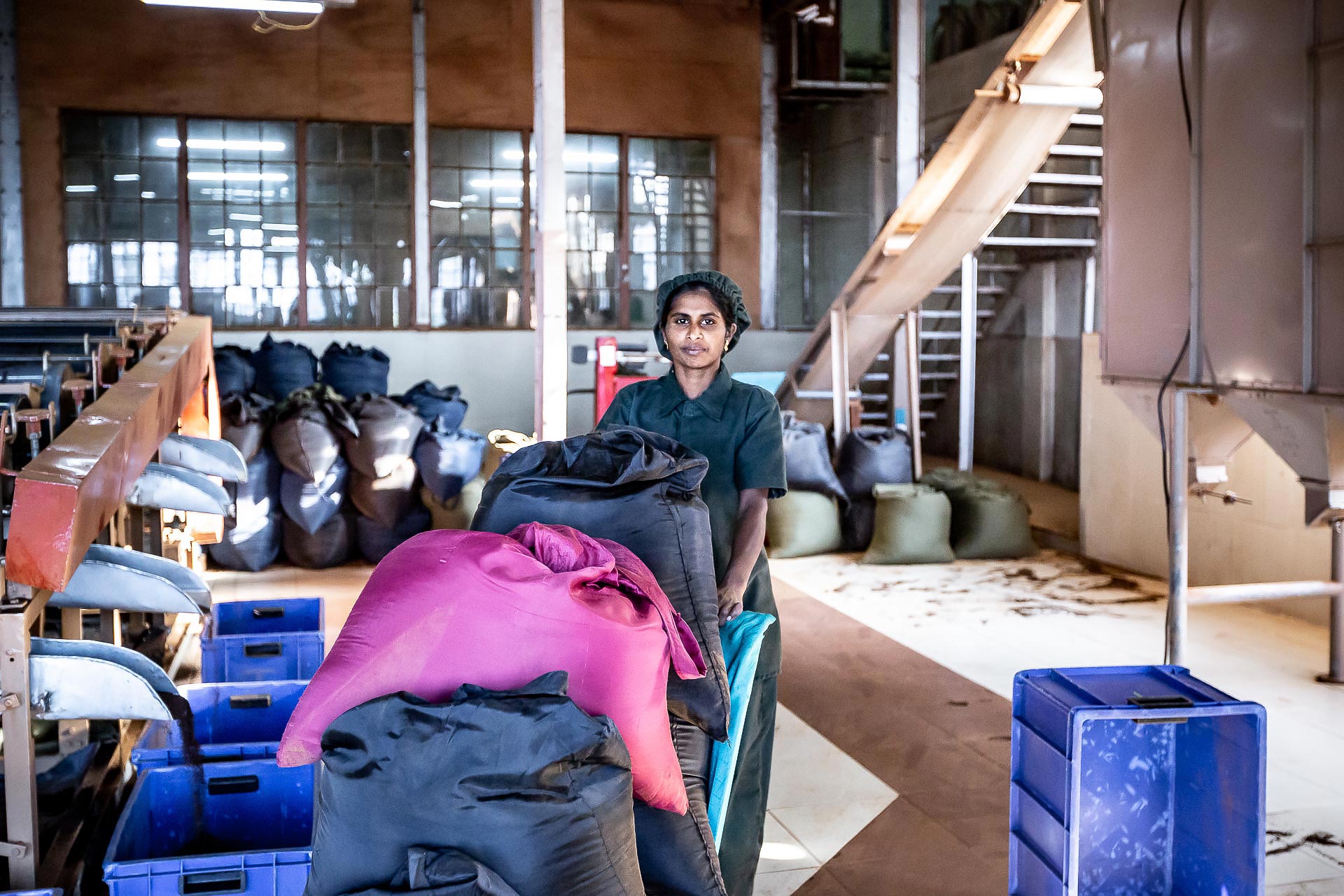 julien cresp photographie la fabrique de thé de dambatenne