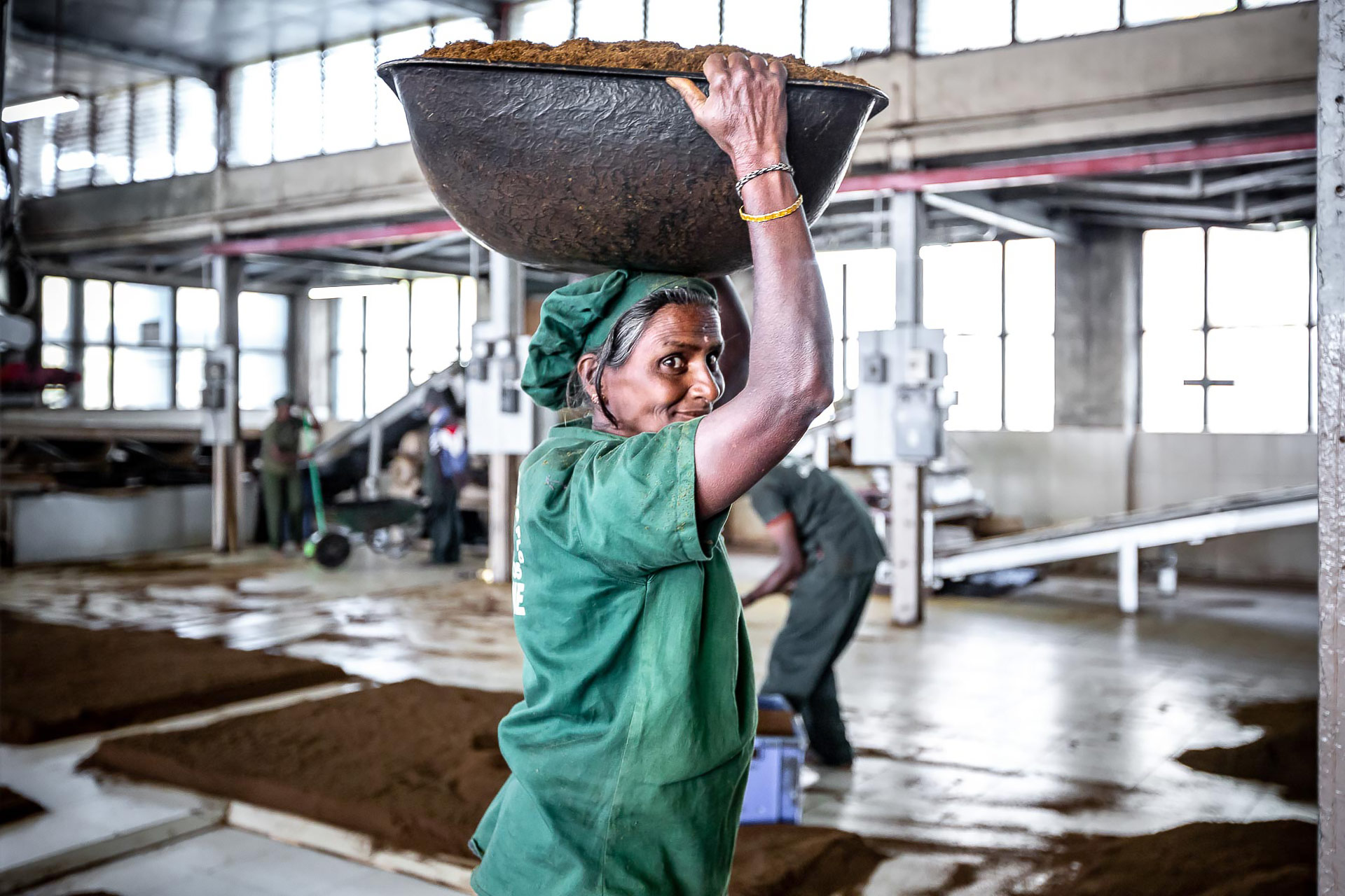 la fabrique de thé de dambatenne photographiée par julien cresp