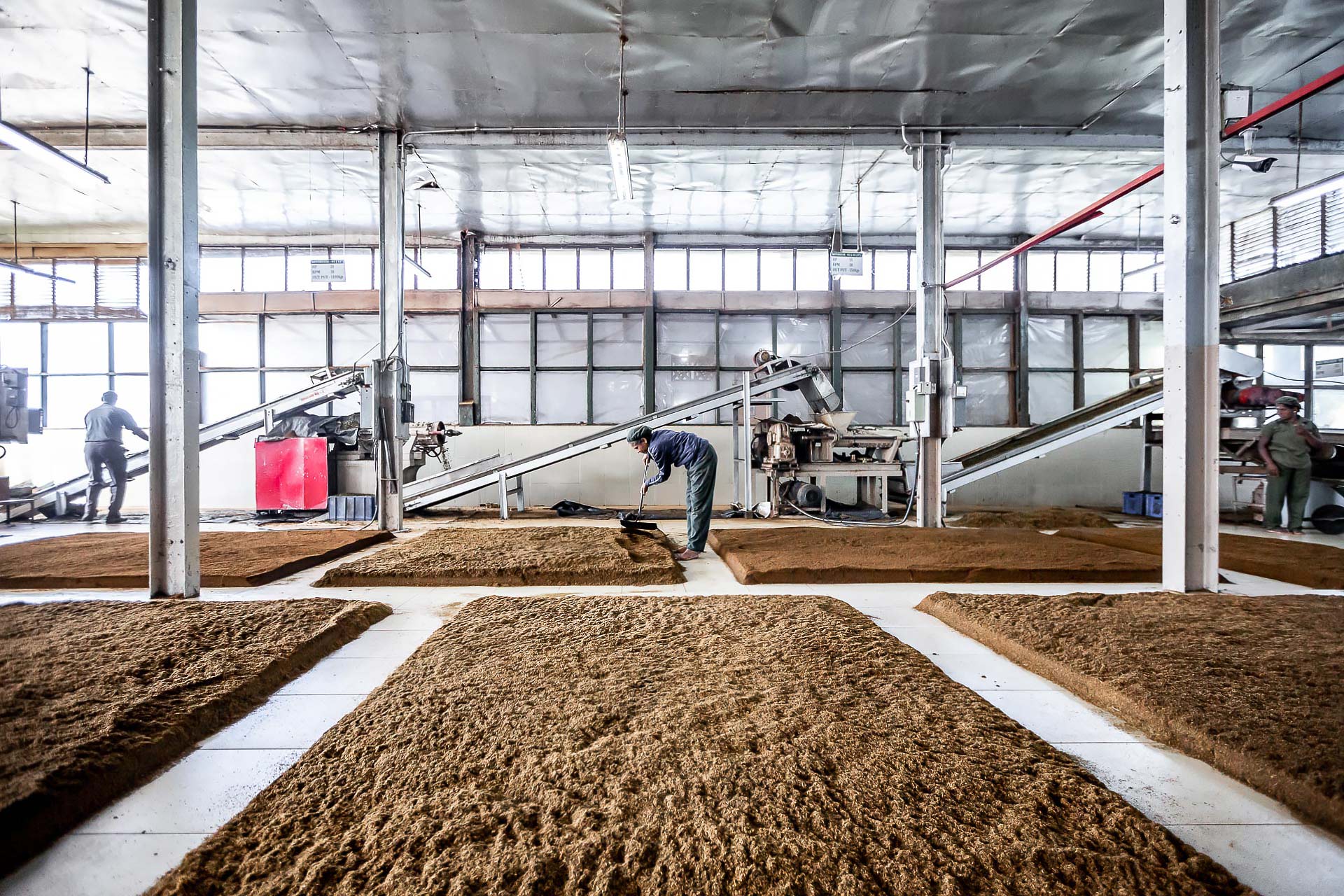 julien cresp photographie la fabrique de thé de dambatenne