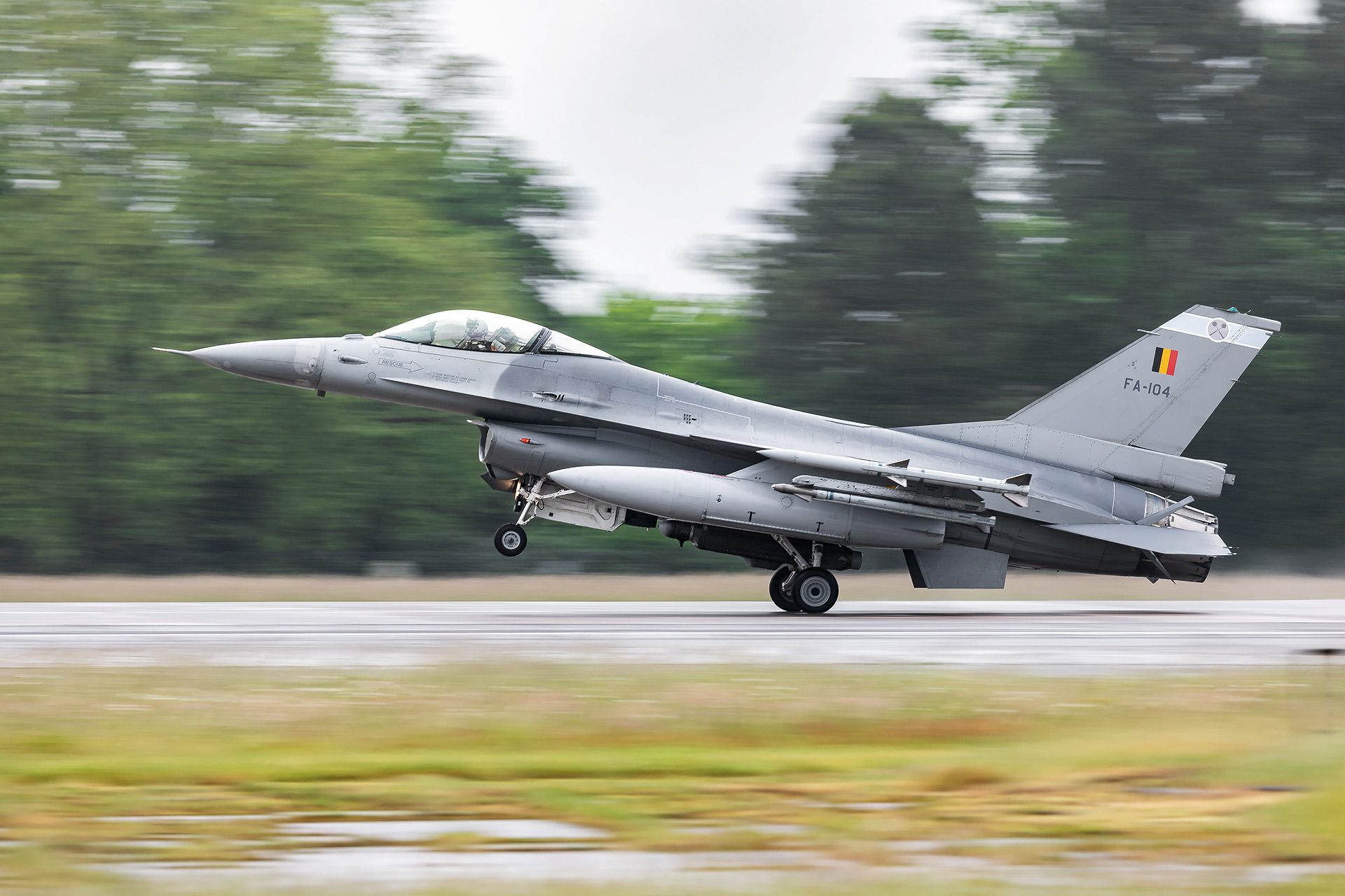 julien cresp photographie le tiger meet 2019 à Mont de marsan