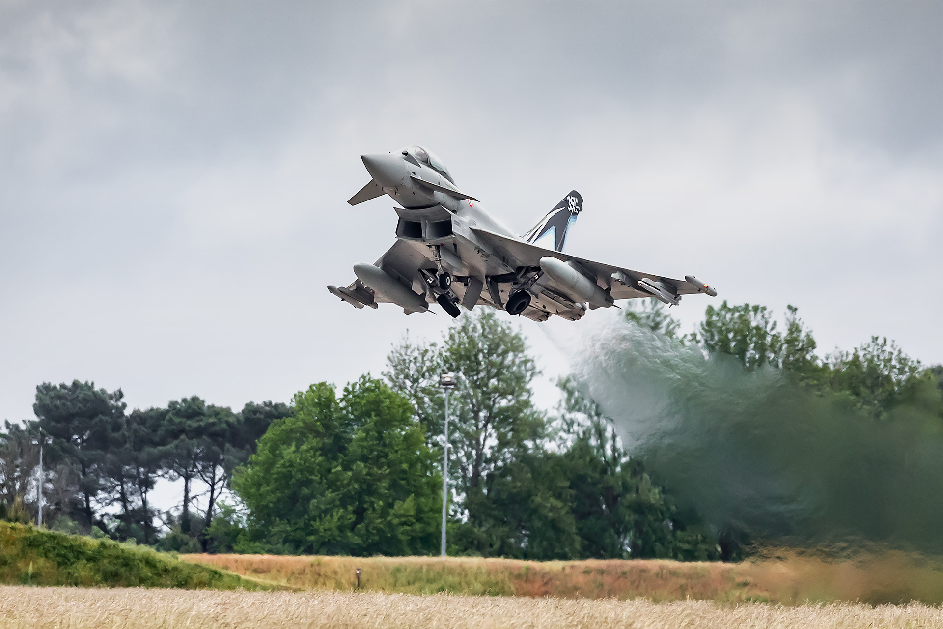 le tiger meet 2019 à mont de marsan vu par julien cresp