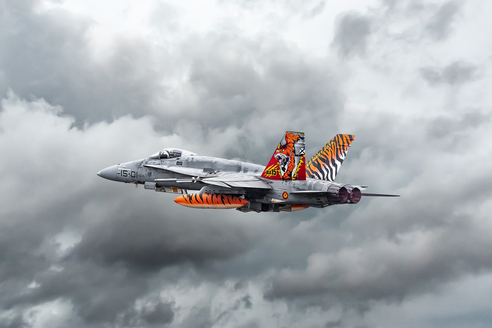 julien cresp photographie le tiger meet 2019 à Mont de marsan