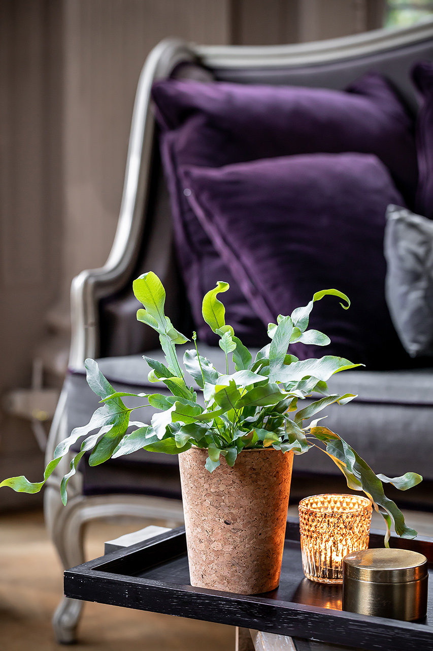 julien cresp, emova, au nom de la rose, rapid flore, happy flore