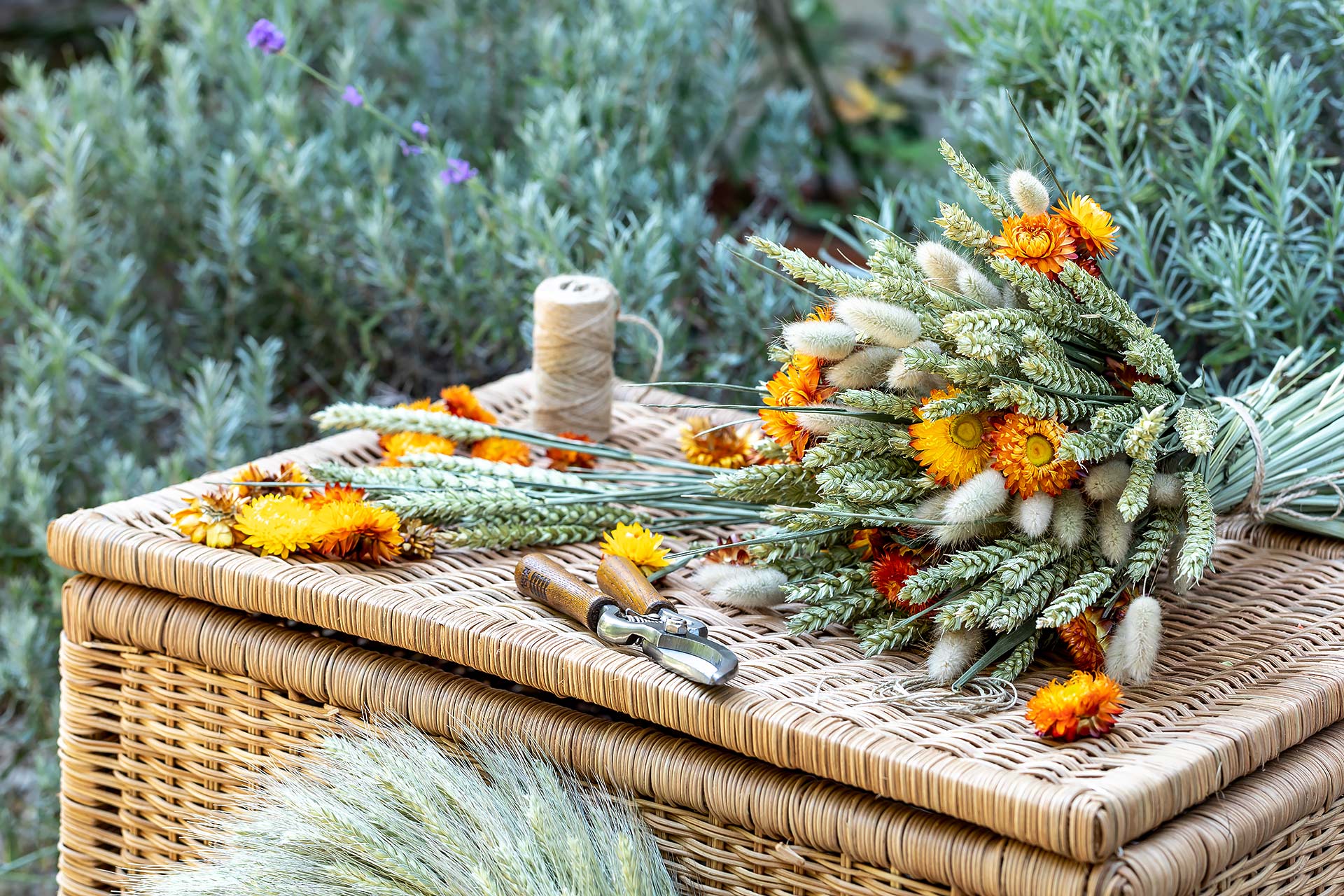 julien cresp, emova, au nom de la rose, rapid flore, happy flore