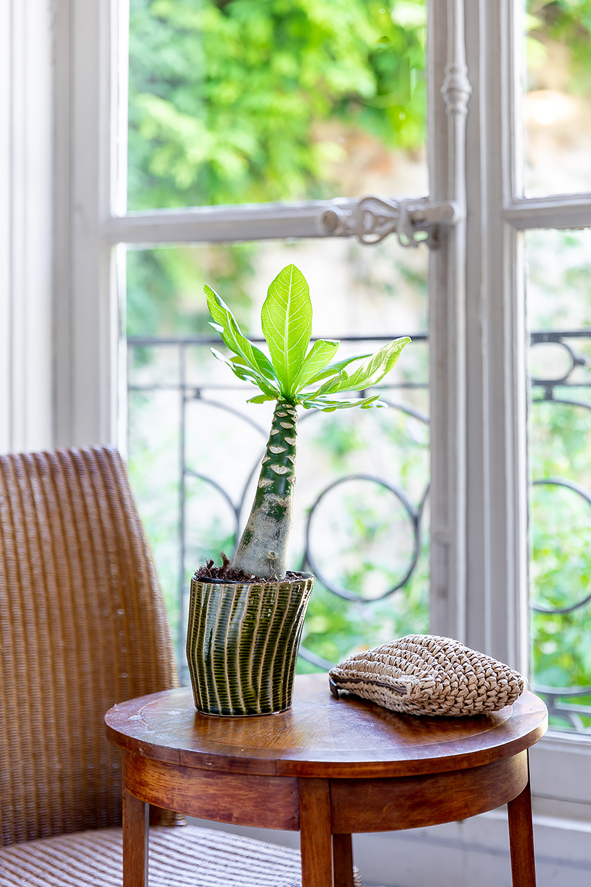 julien cresp, emova, au nom de la rose, rapid flore, happy flore