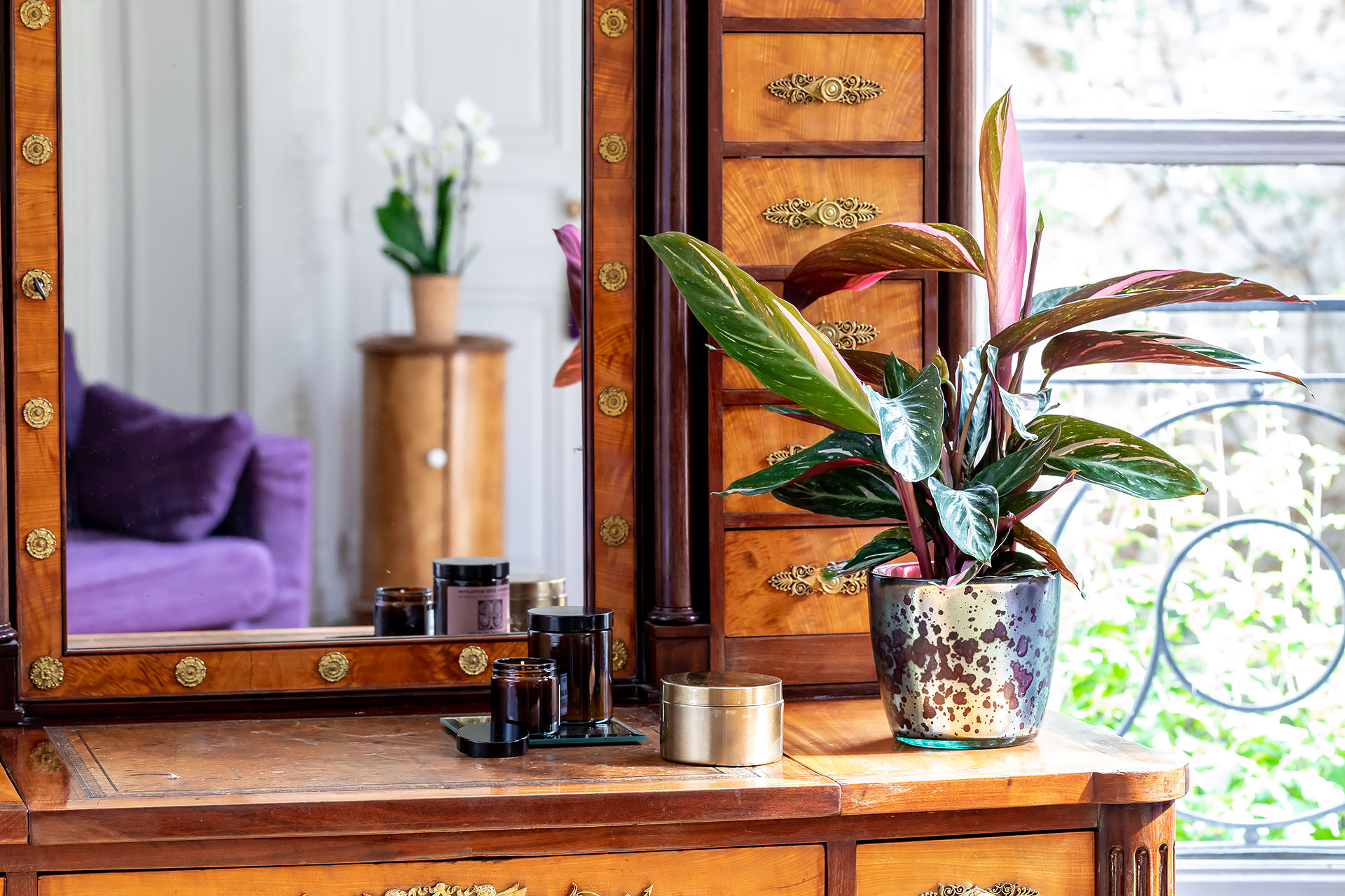 emova, monceau fleurs, au nom de la rose, juliencresp, julien cresp photographe, fleurs,