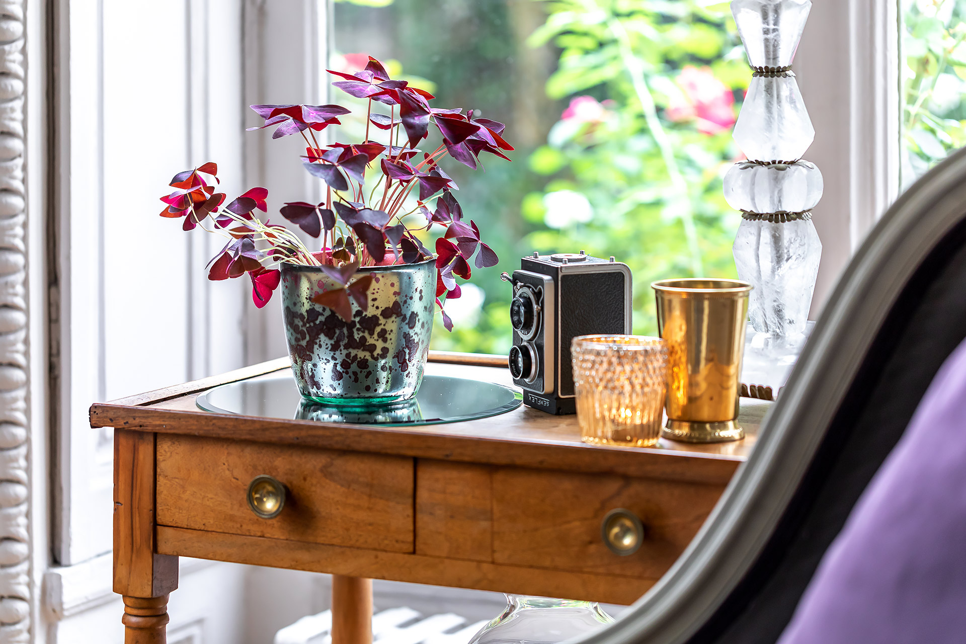 emova, monceau fleurs, au nom de la rose, juliencresp, julien cresp photographe, fleurs,