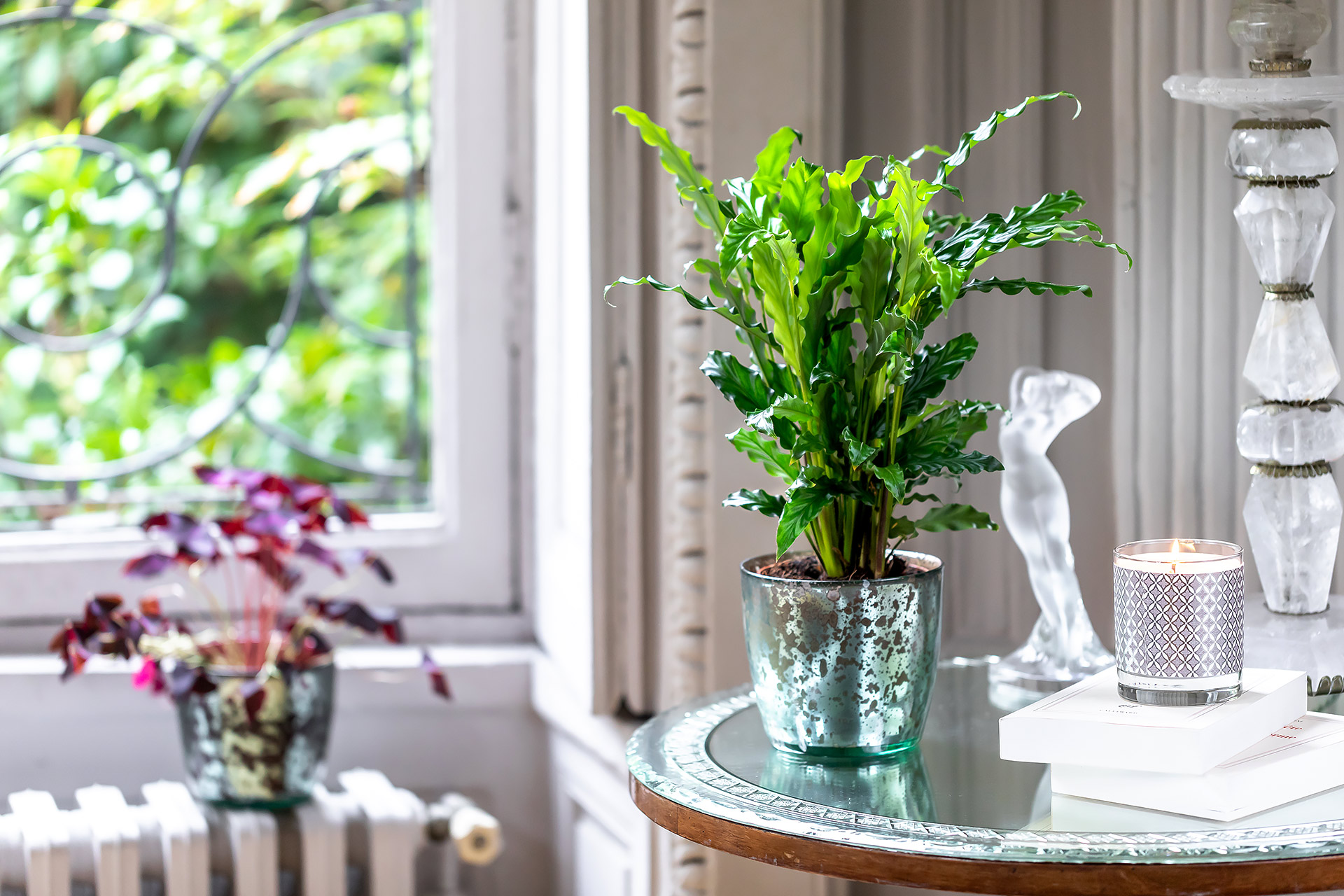 julien cresp photographie les compositions florales du groupe emova