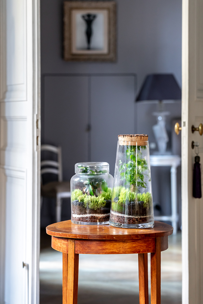 emova, monceau fleurs, au nom de la rose, juliencresp, julien cresp photographe, fleurs,