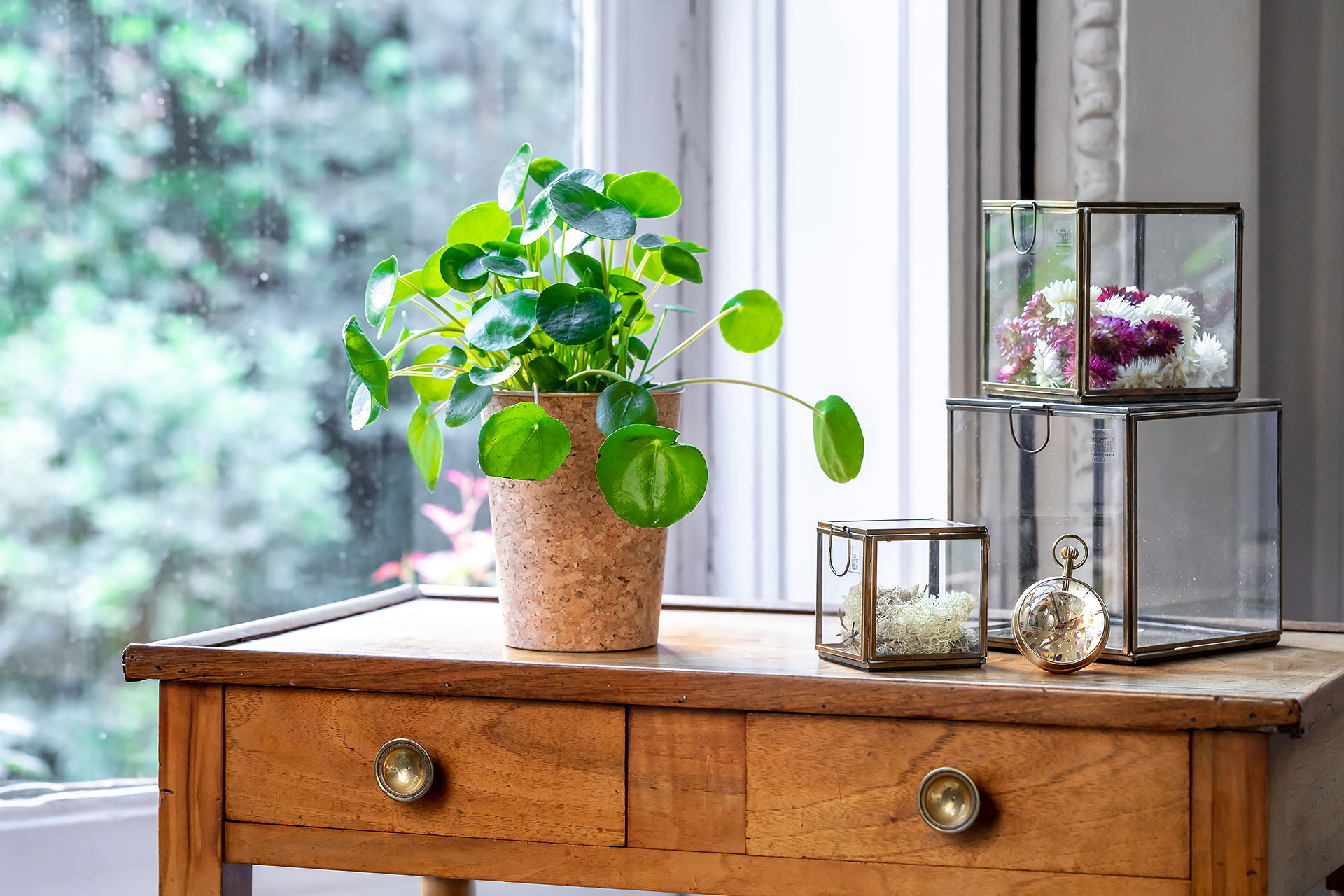 julien cresp, emova, au nom de la rose, rapid flore, happy flore