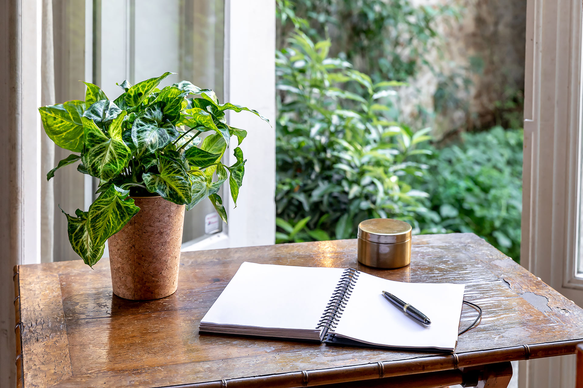 emova, monceau fleurs, au nom de la rose, juliencresp, julien cresp photographe, fleurs,