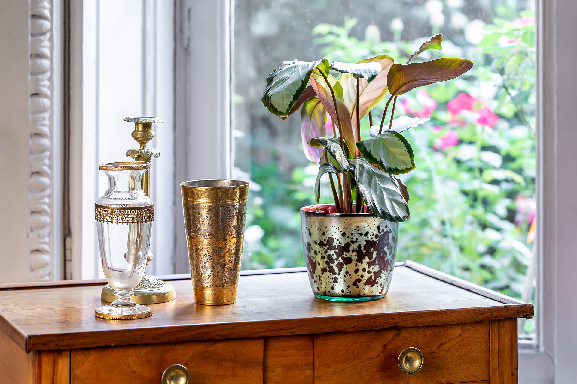 emova, monceau fleurs, au nom de la rose, juliencresp, julien cresp photographe, fleurs,