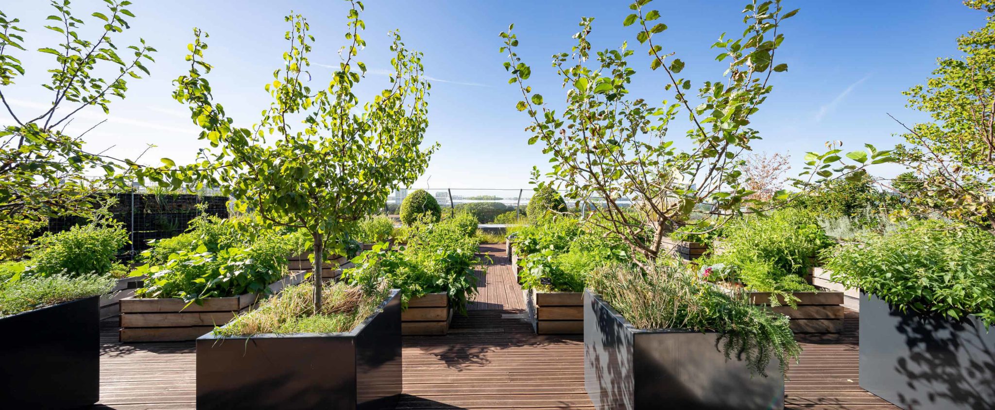 juliencresp photographie les jardins suspendus realises par la societe Mugo