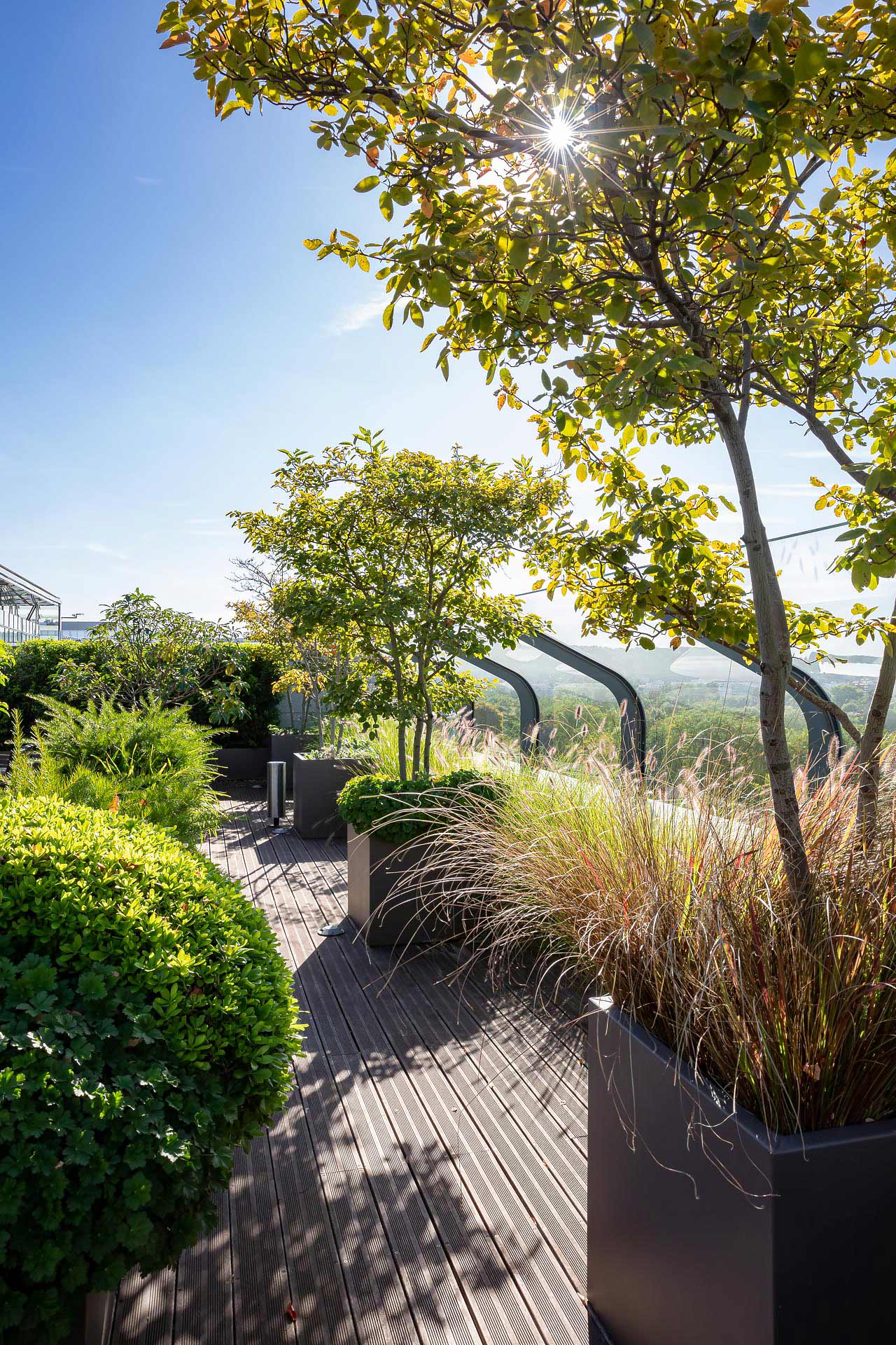 les potagers de mugo photographiés par julien cresp